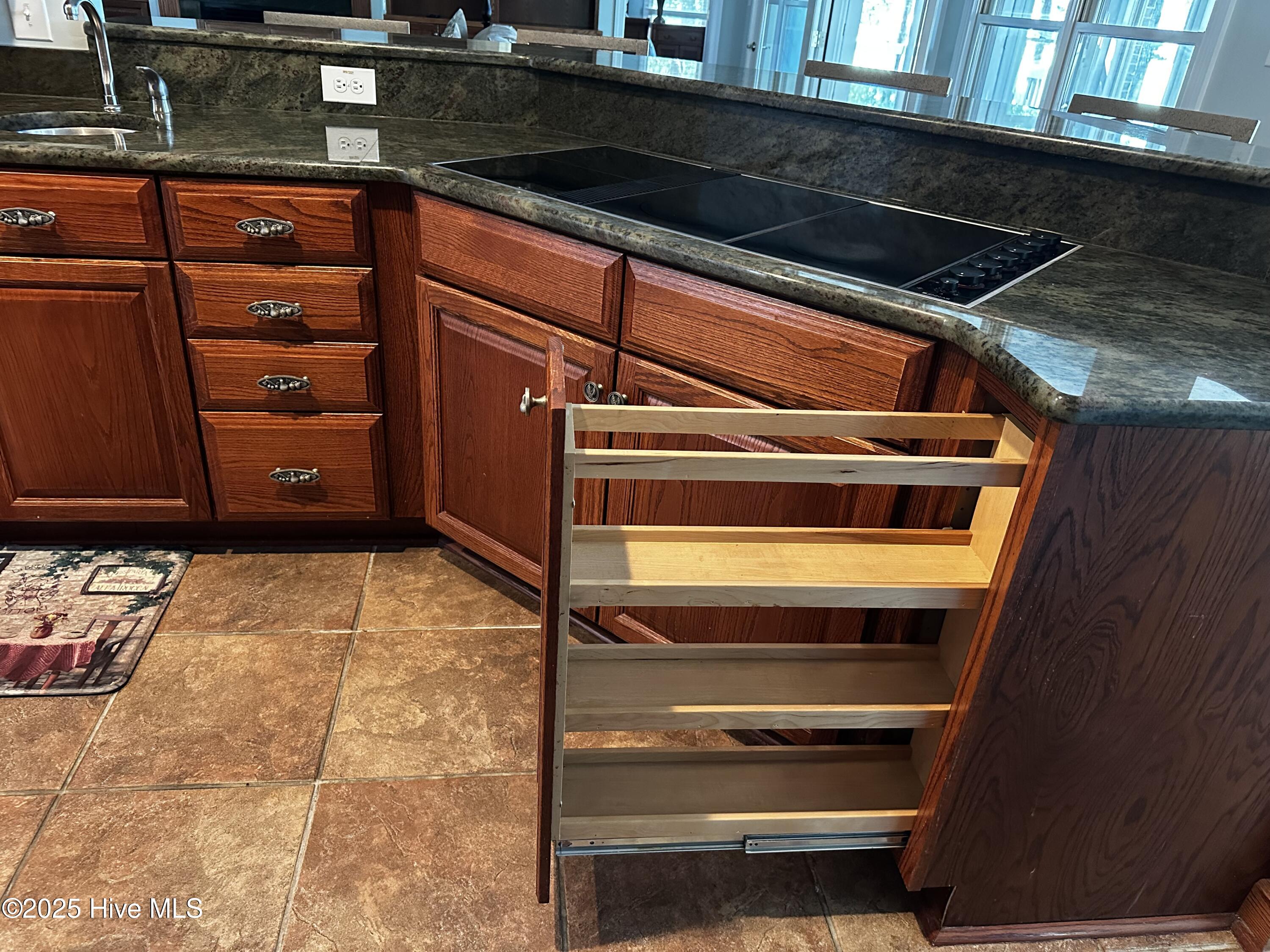 100509392 | Photo 24