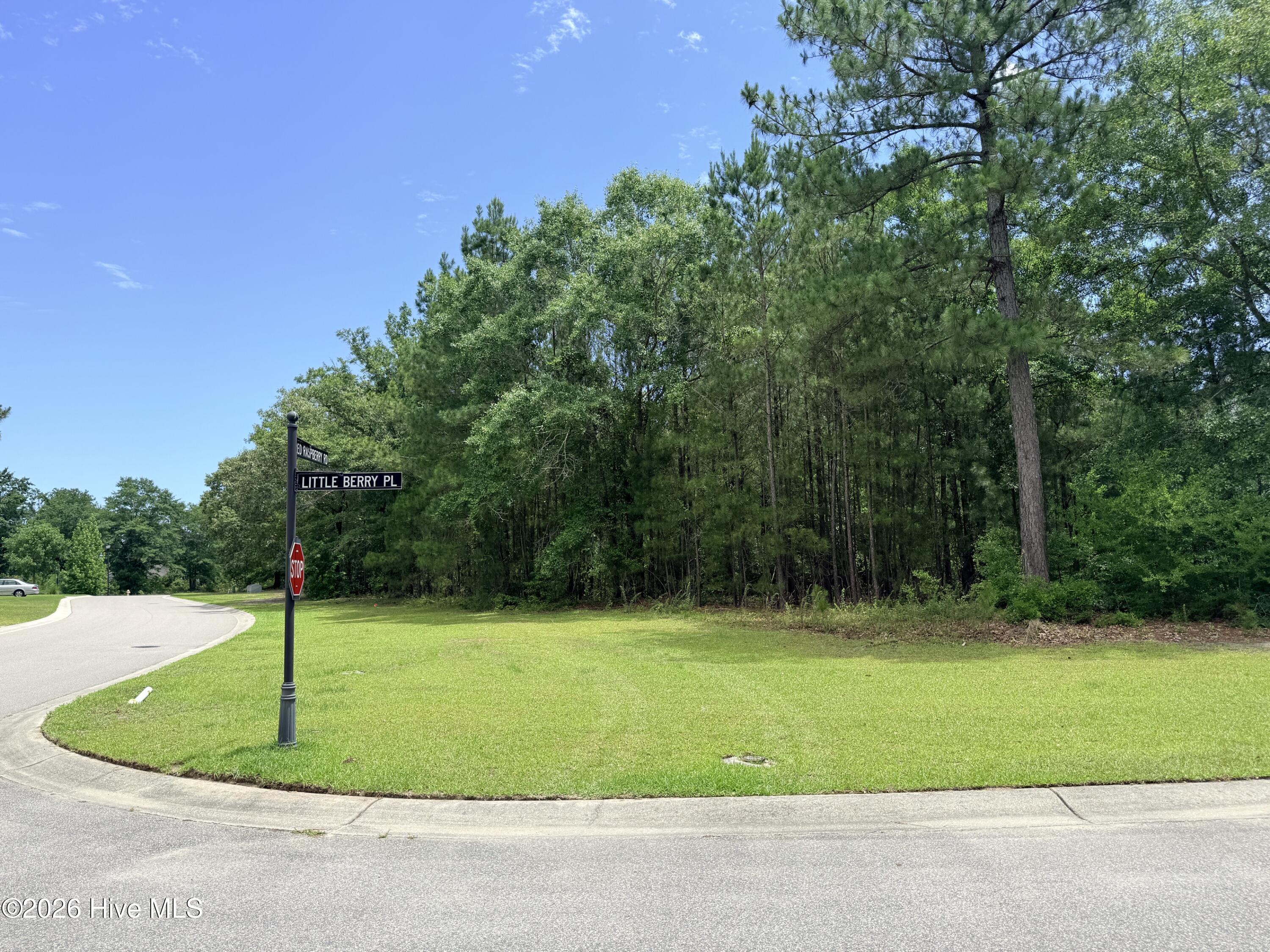 Shirley Johnson - MLS Number: 100575060