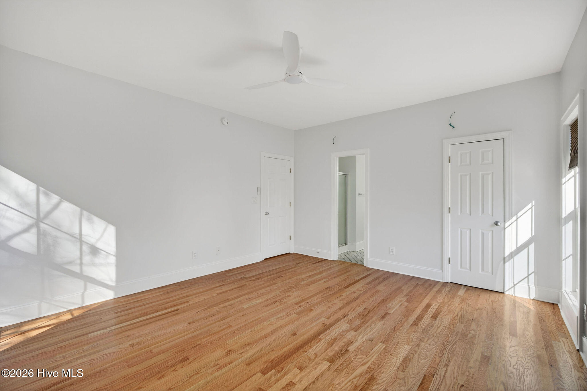 100551294 | Photo 12