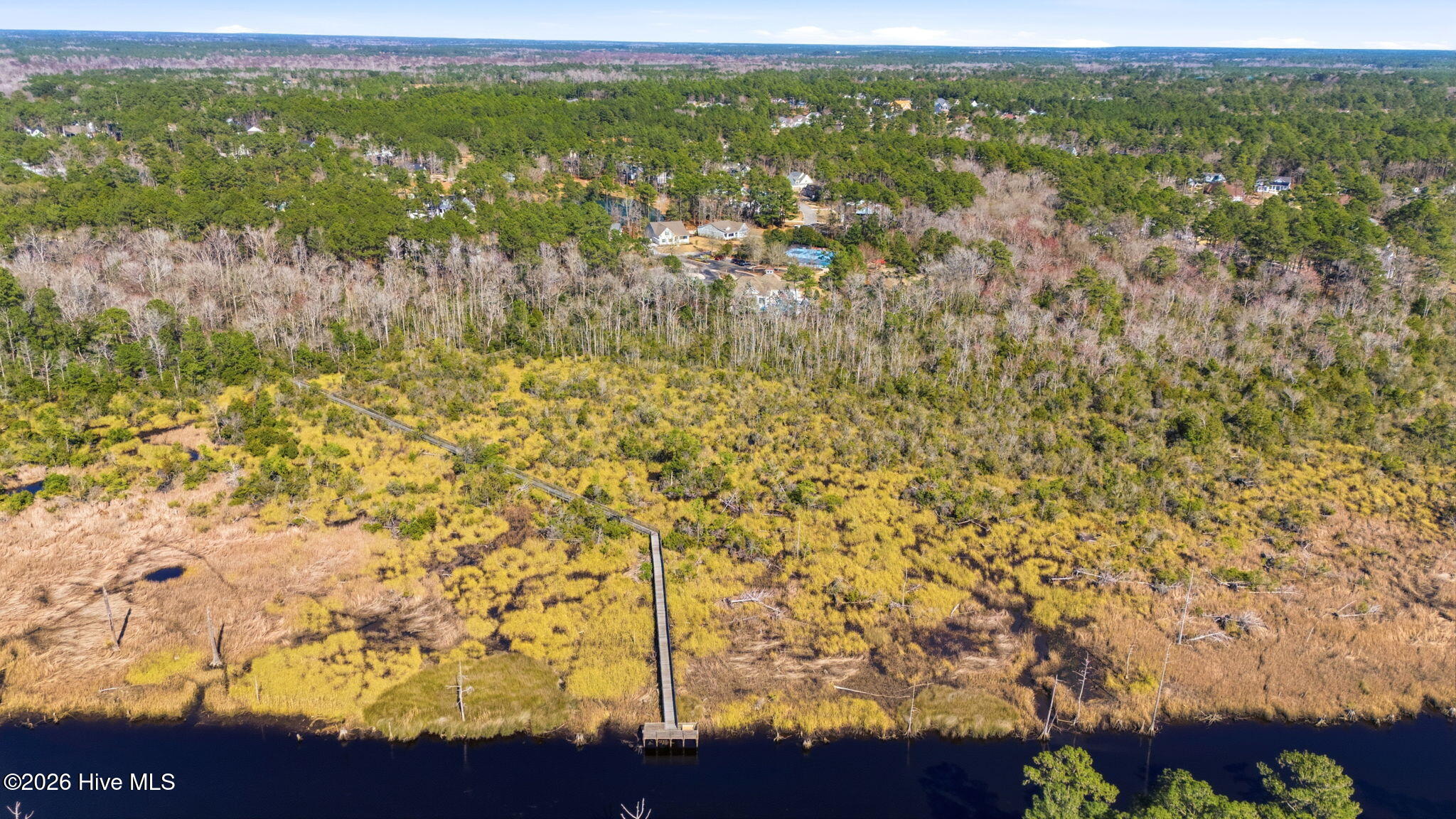 100558607 | Photo 41