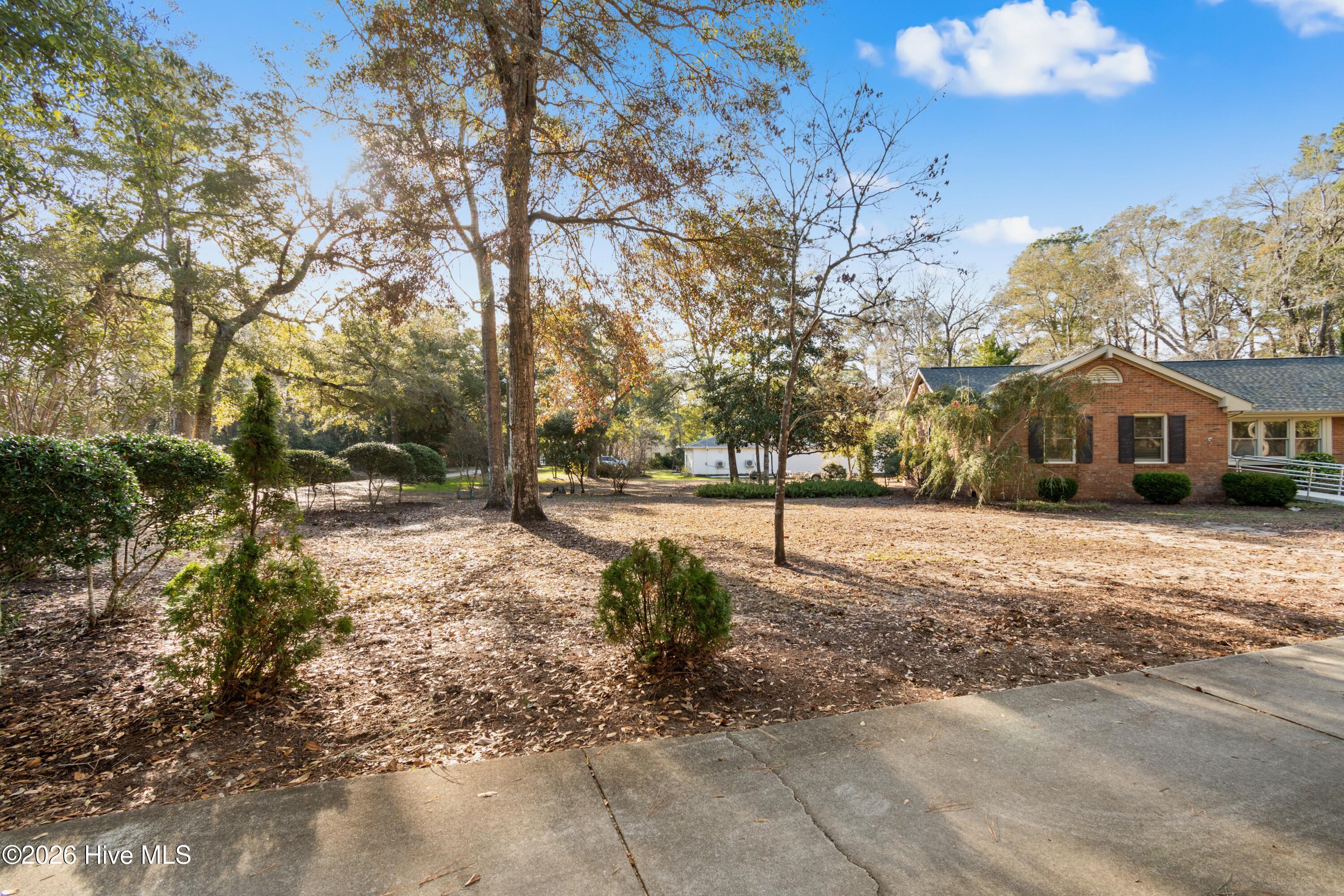 100549008 | Photo 37