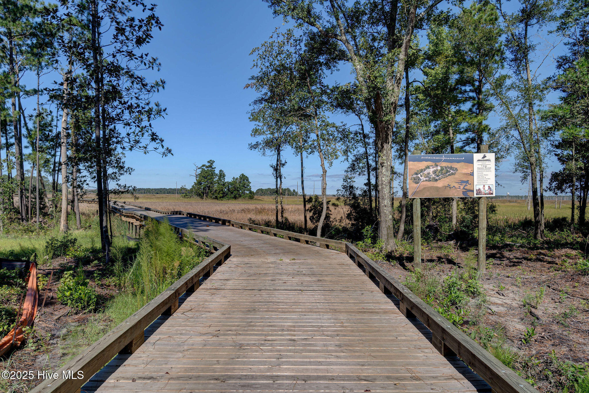 100537676 | Photo 36