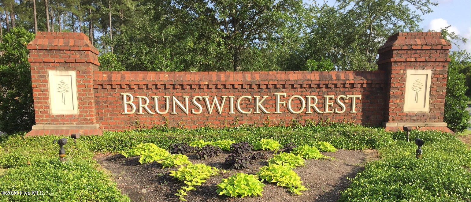 100557593 | Photo 35