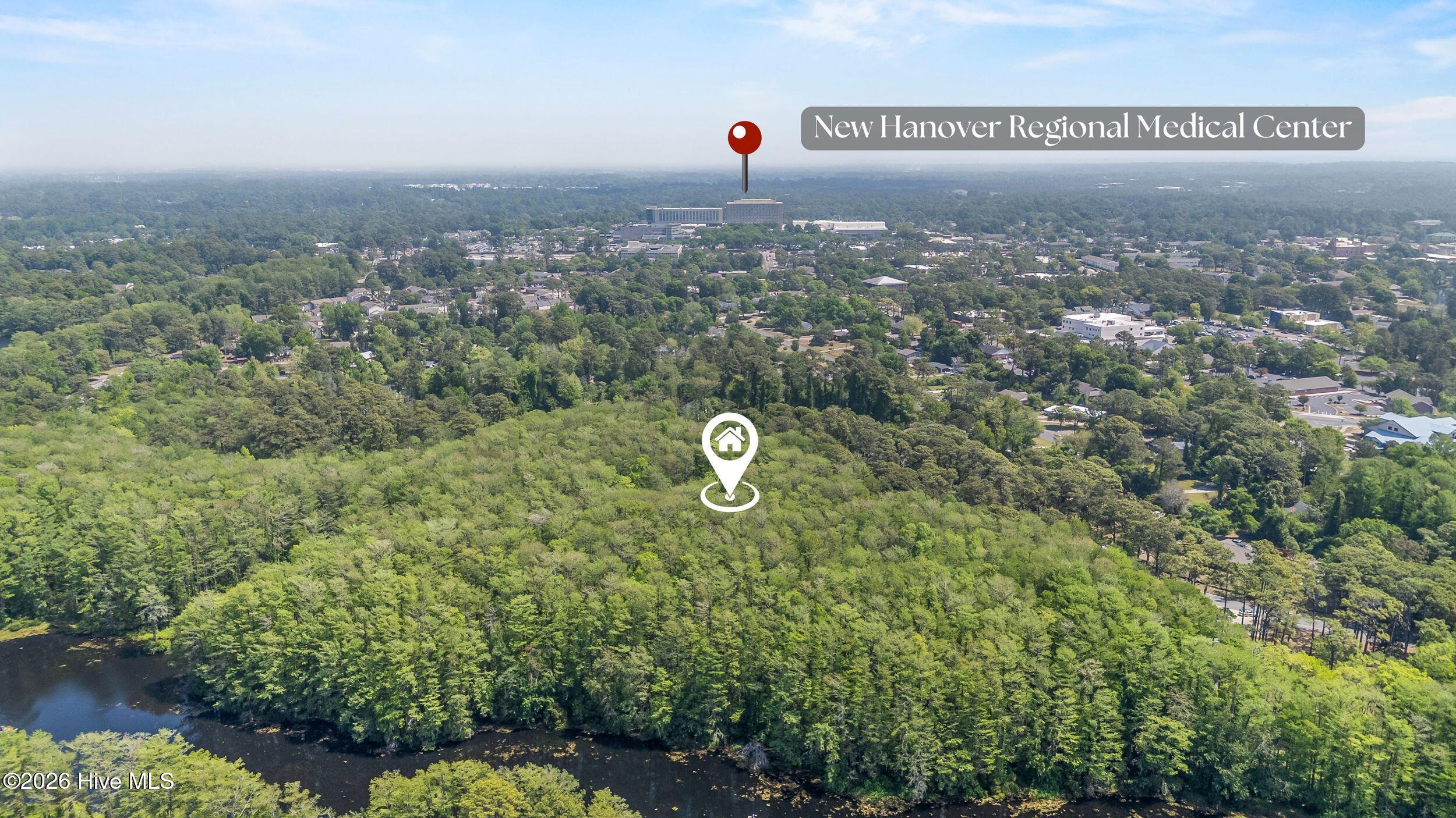 100567993 | Photo 10