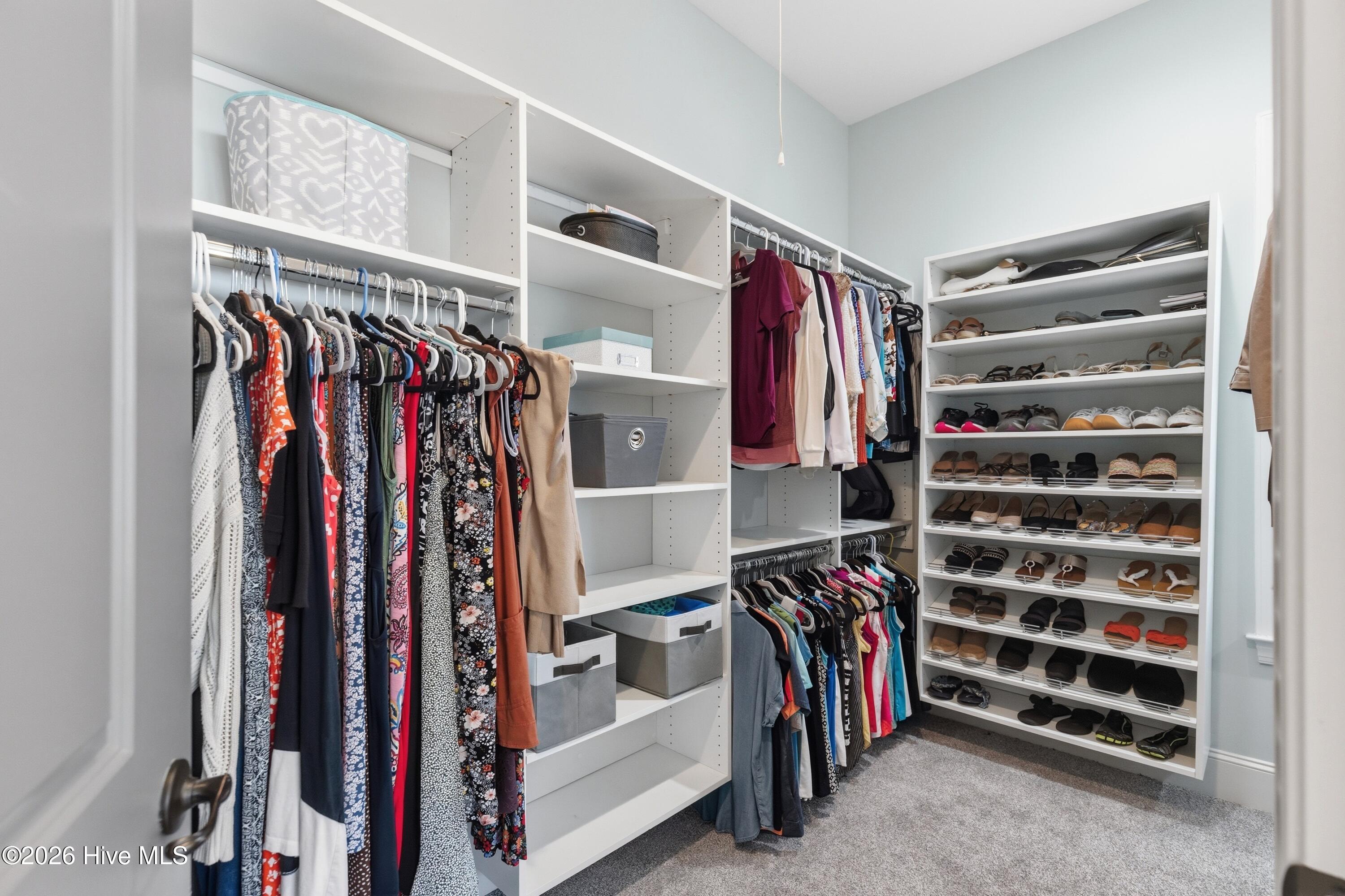 100556078 | Photo 46