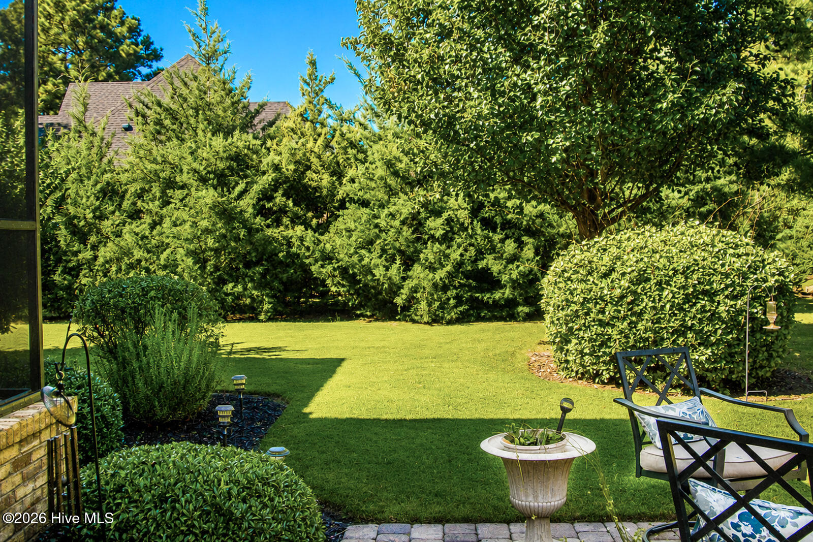Backyard!