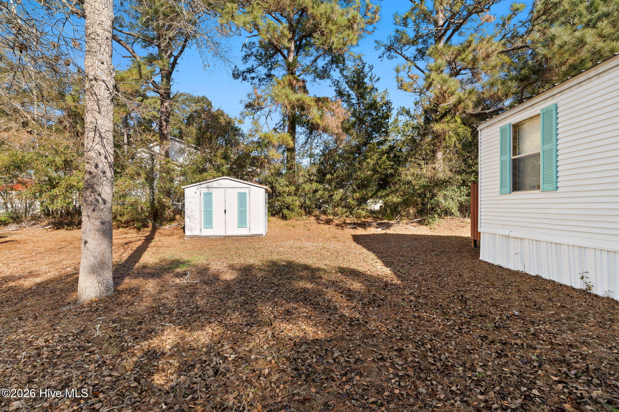 100551436 | Photo 24