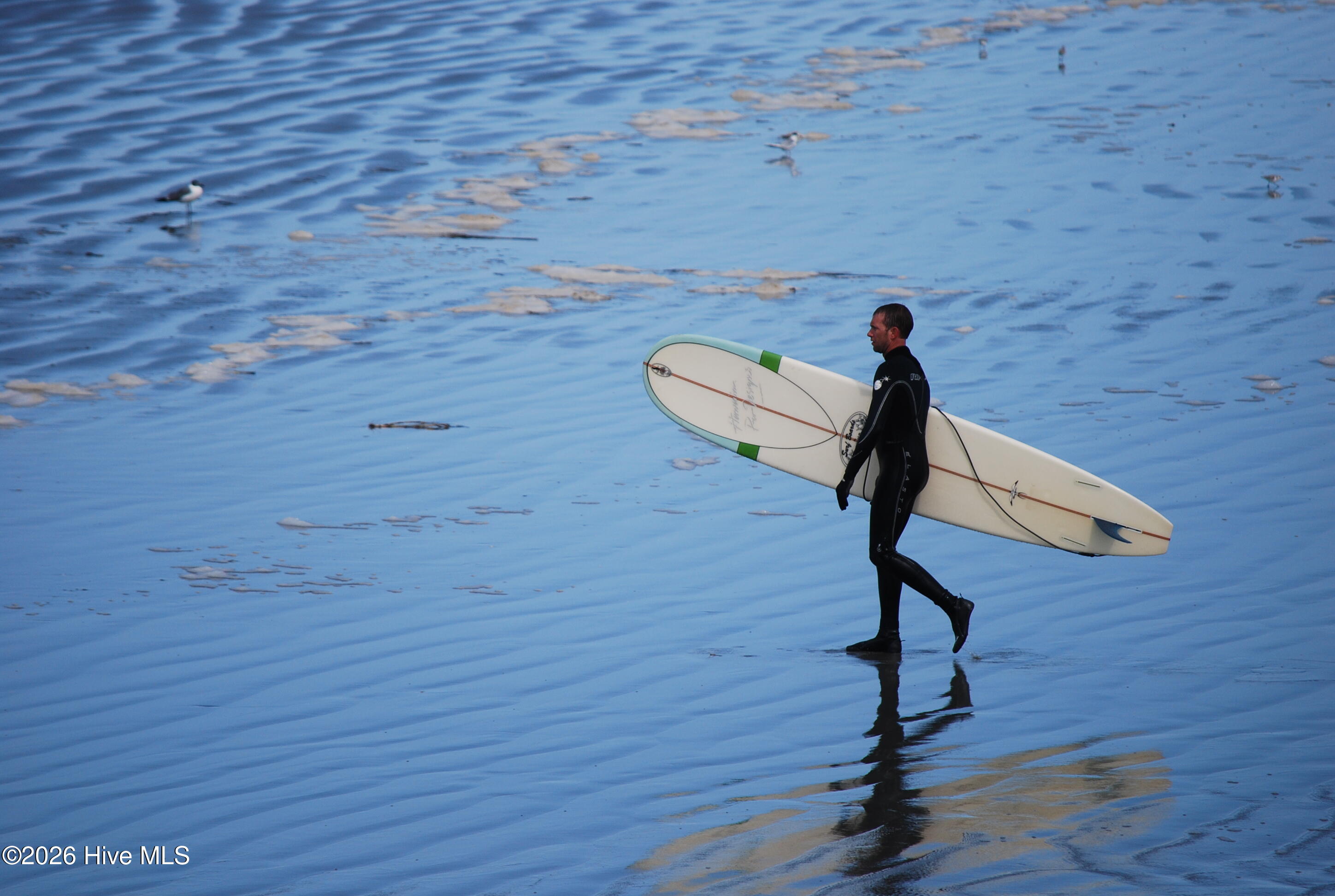 100560957 | Photo 70