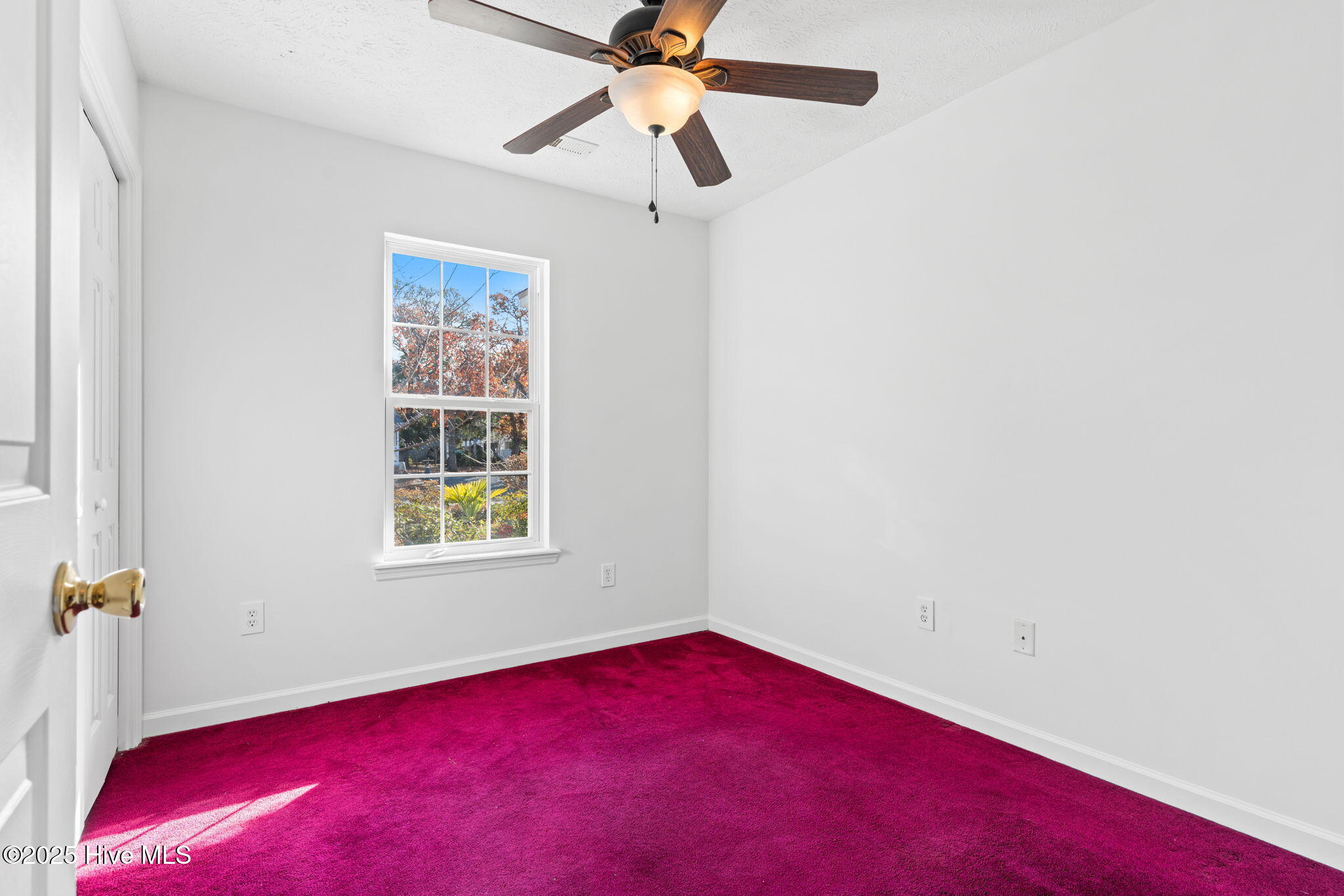 100545371 | Photo 22