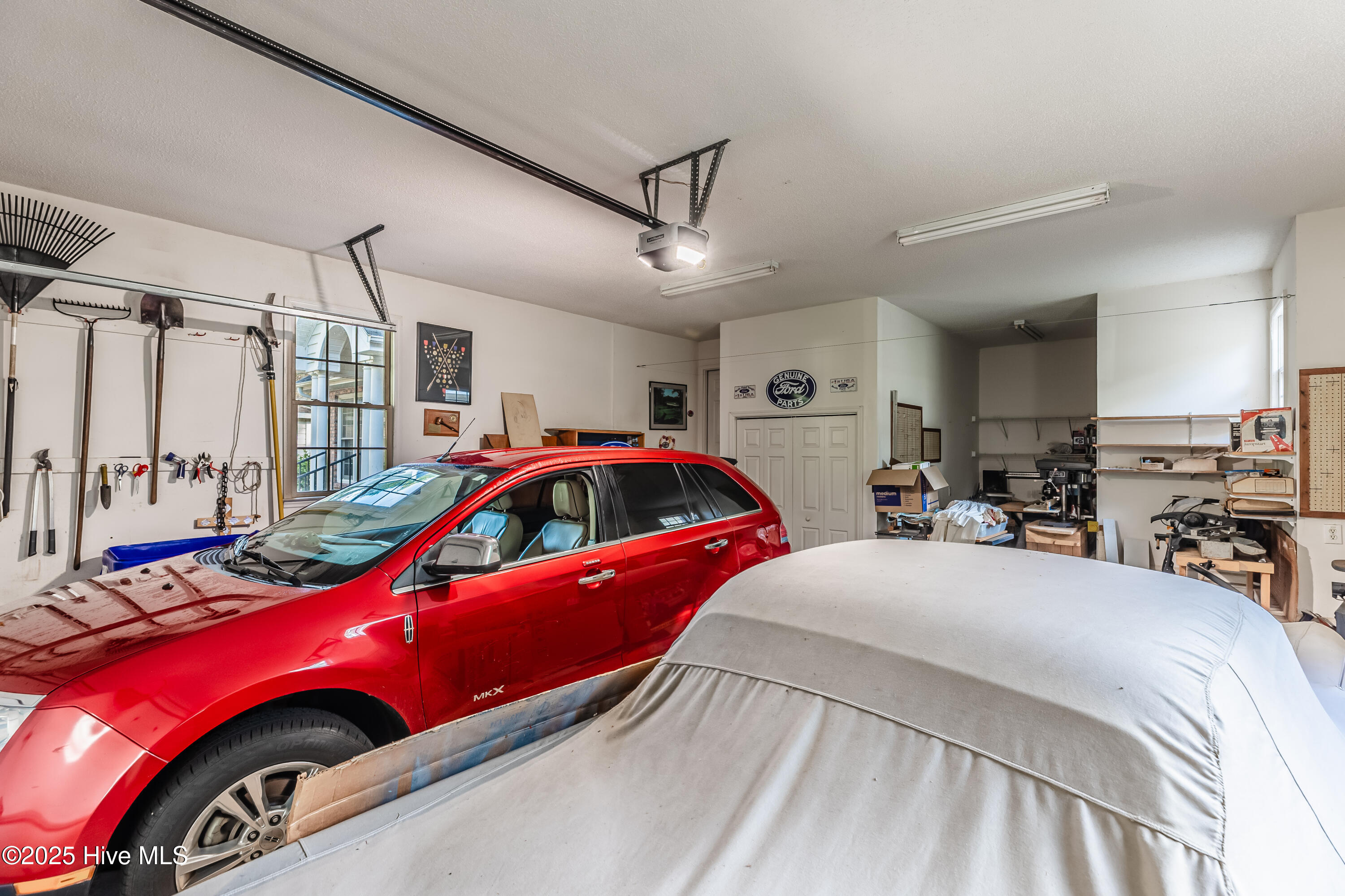 100535569 | Photo 23