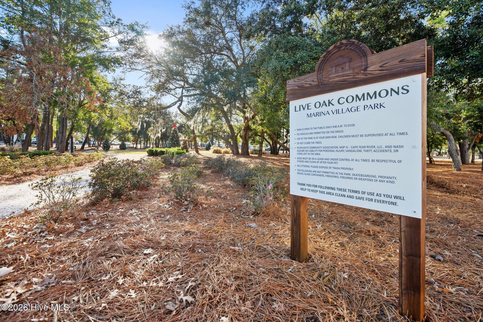 100561208 | Photo 57