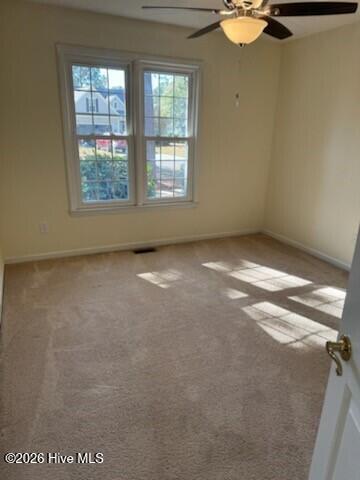 100531388 | Photo 29