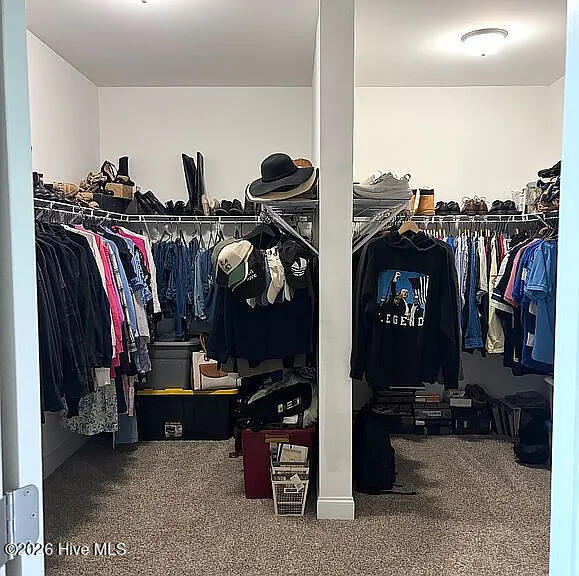 100587041 | Photo 14