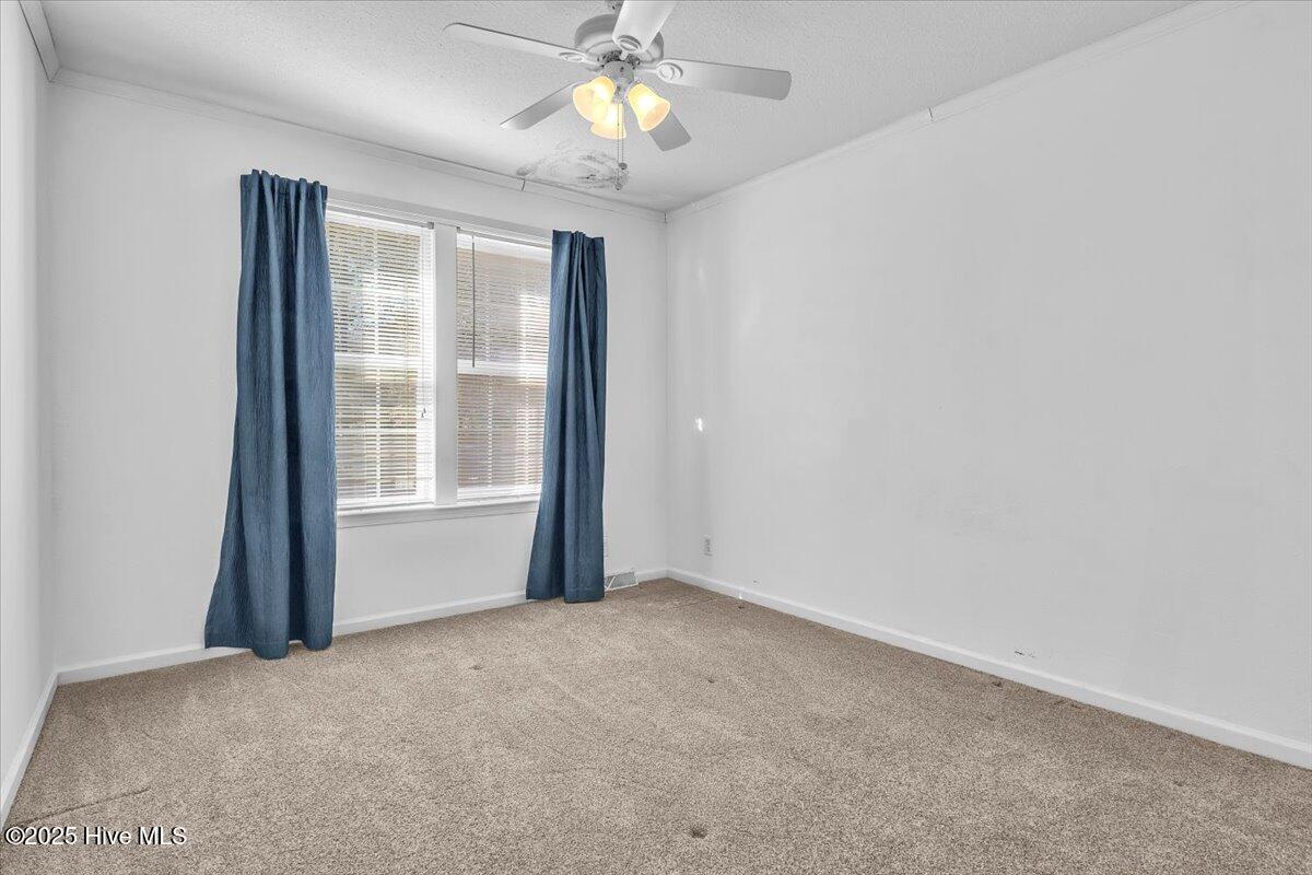 100543135 | Photo 23