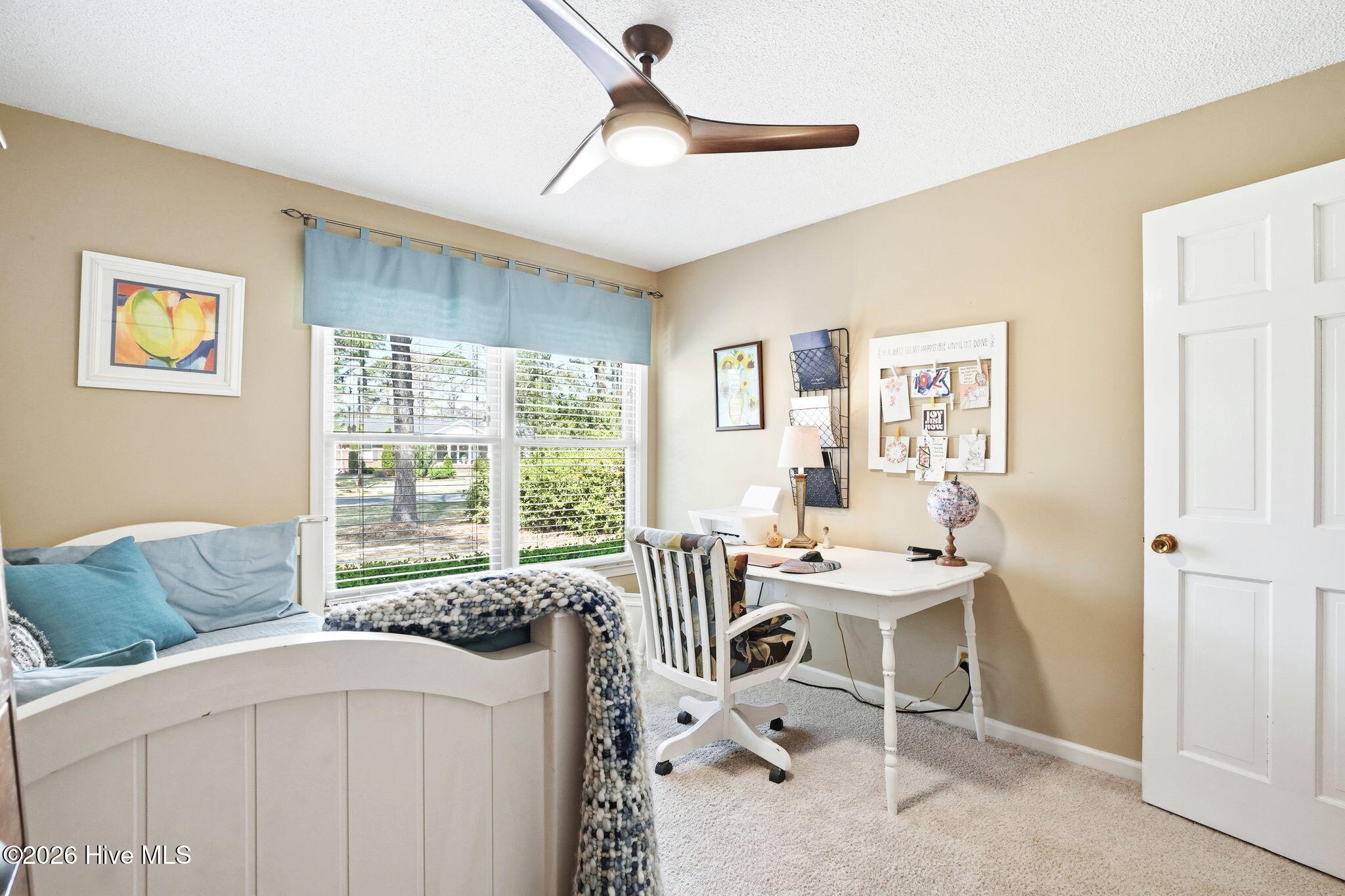 100563763 | Photo 38