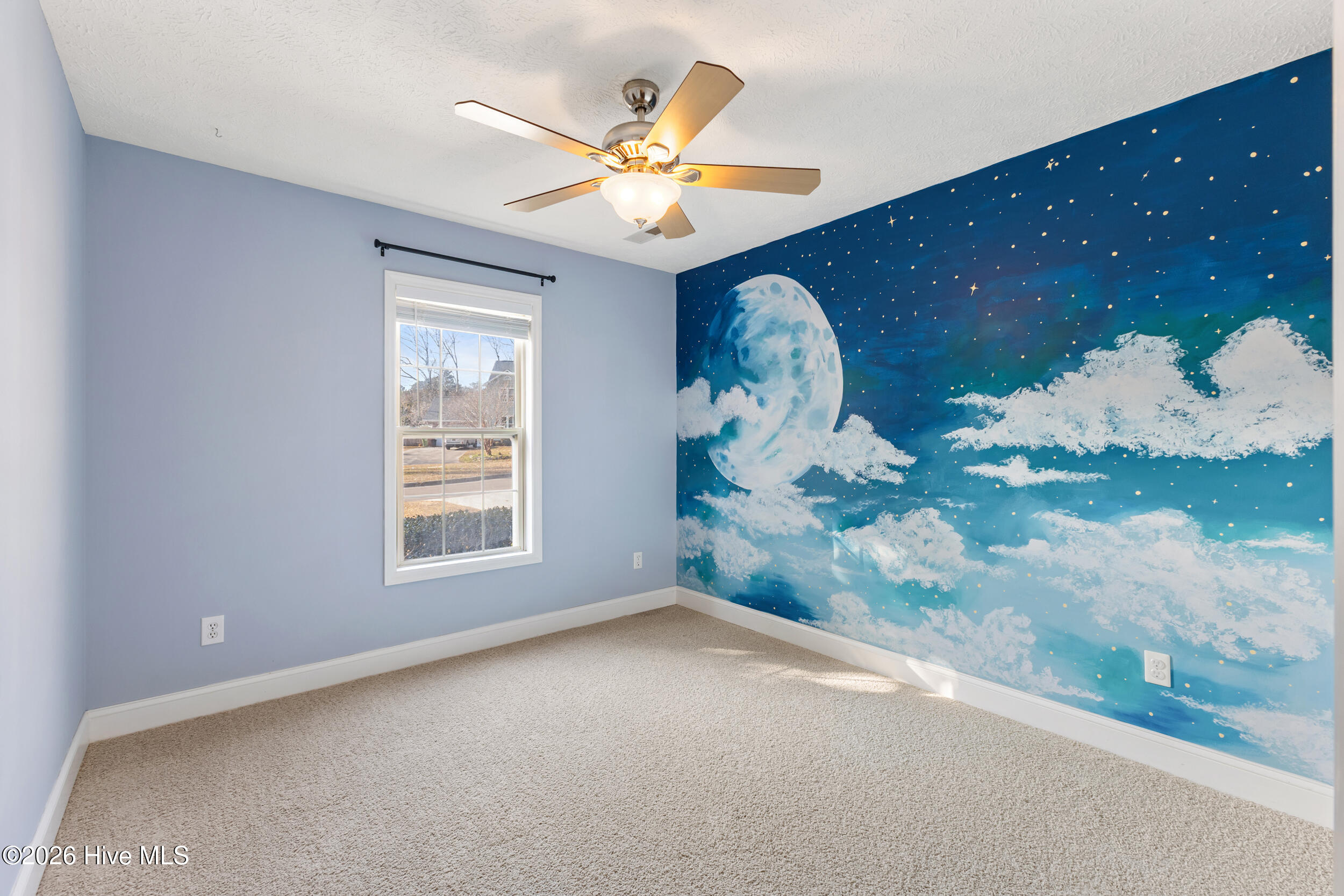 100553711 | Photo 23