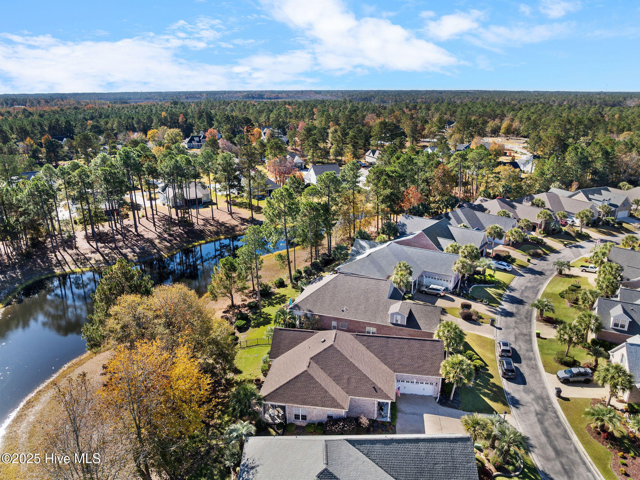 100542530 | Photo 50