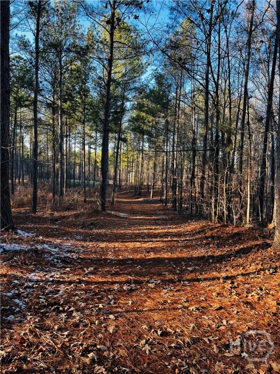 2285 Cherokee Road, Comer, GA, 30629