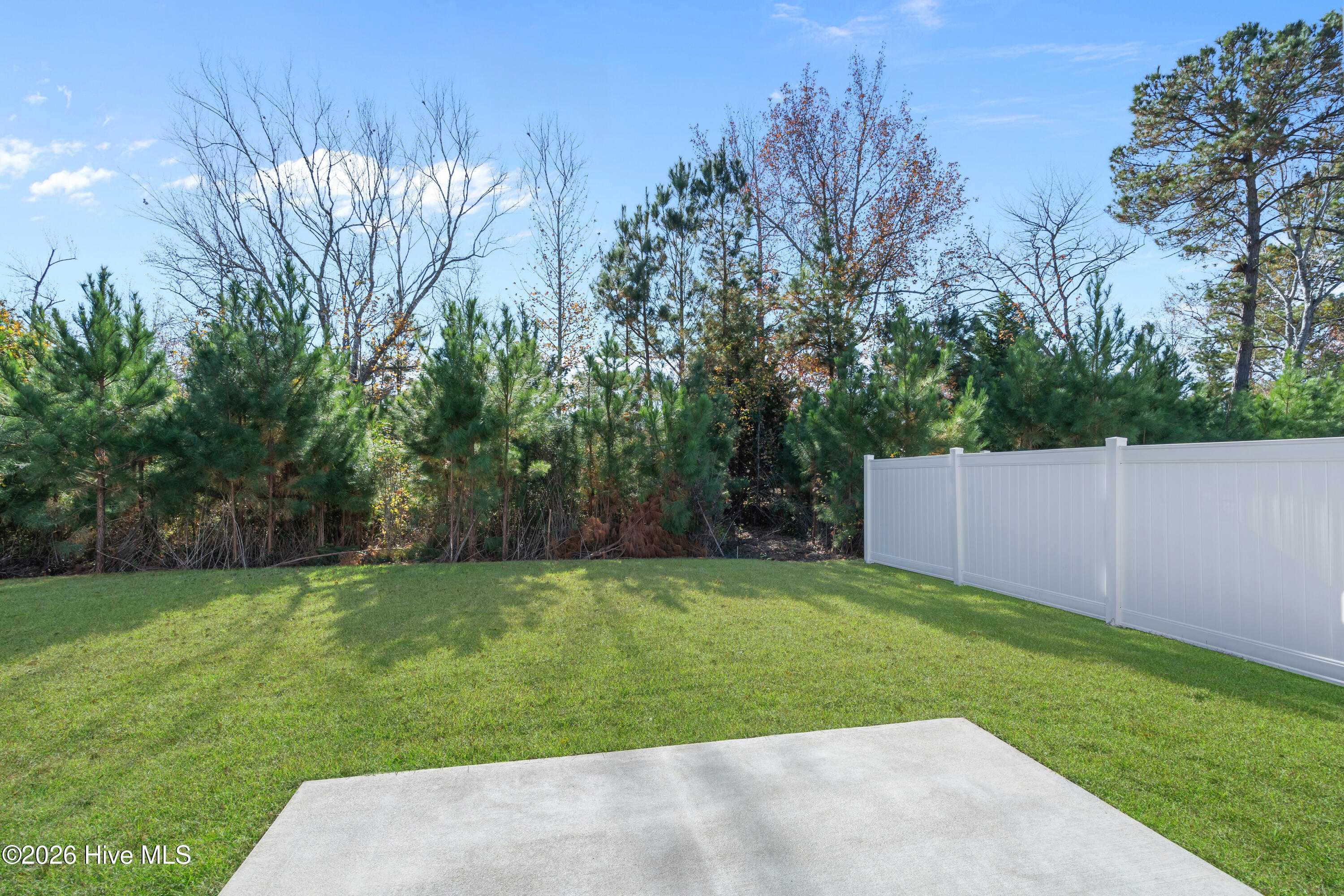 100550228 | Photo 35