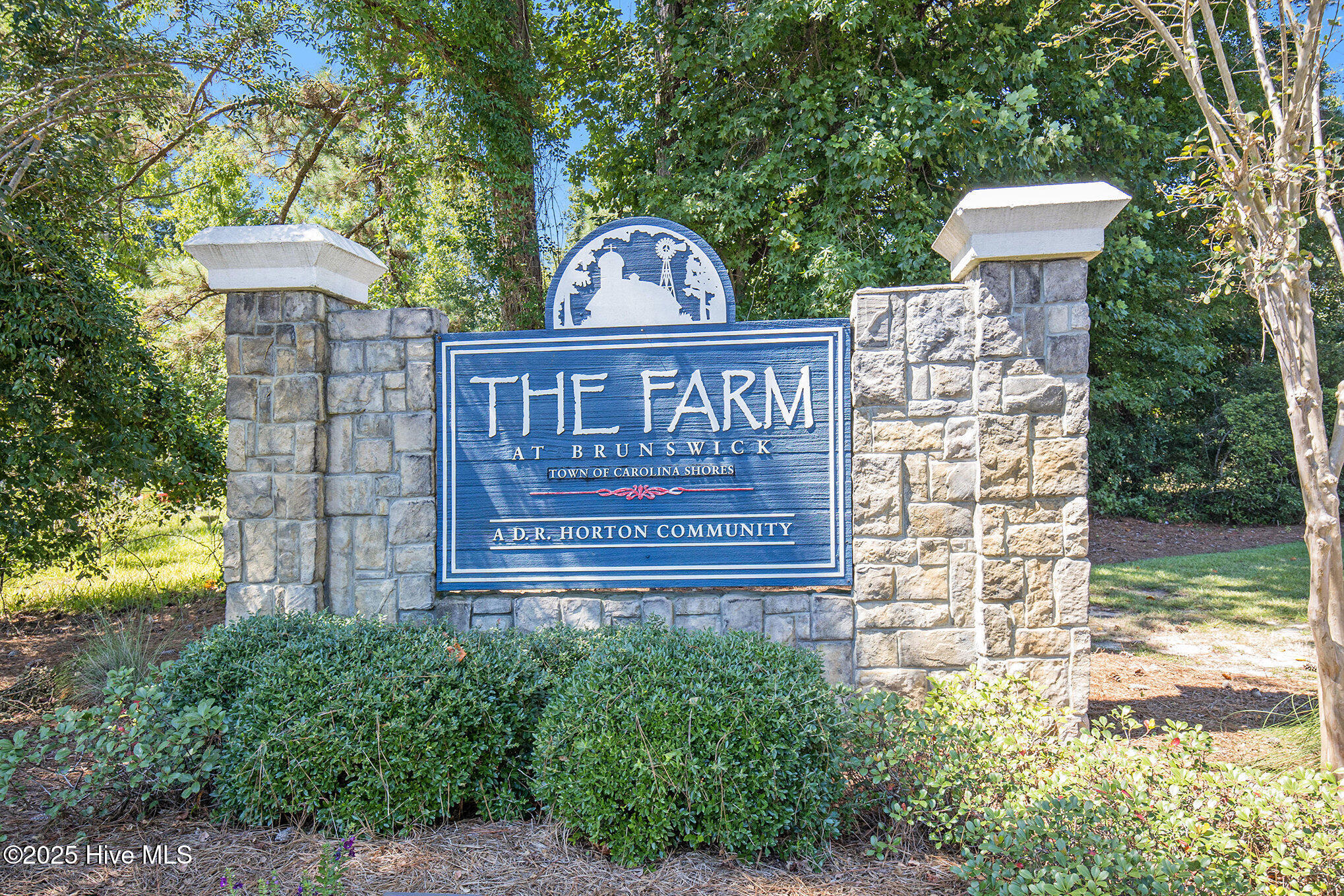 100529053 | Photo 40