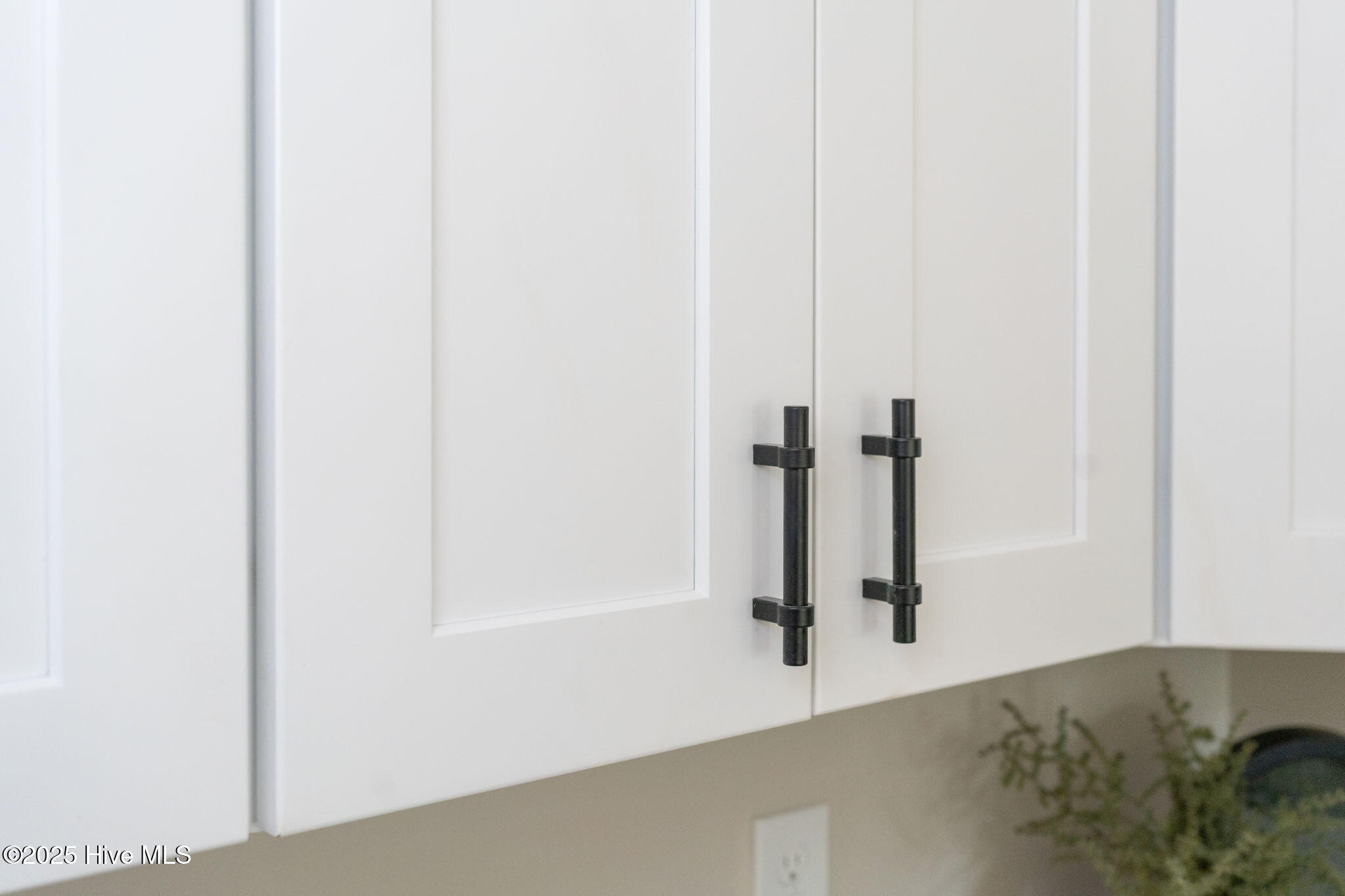 100541520 | Photo 16