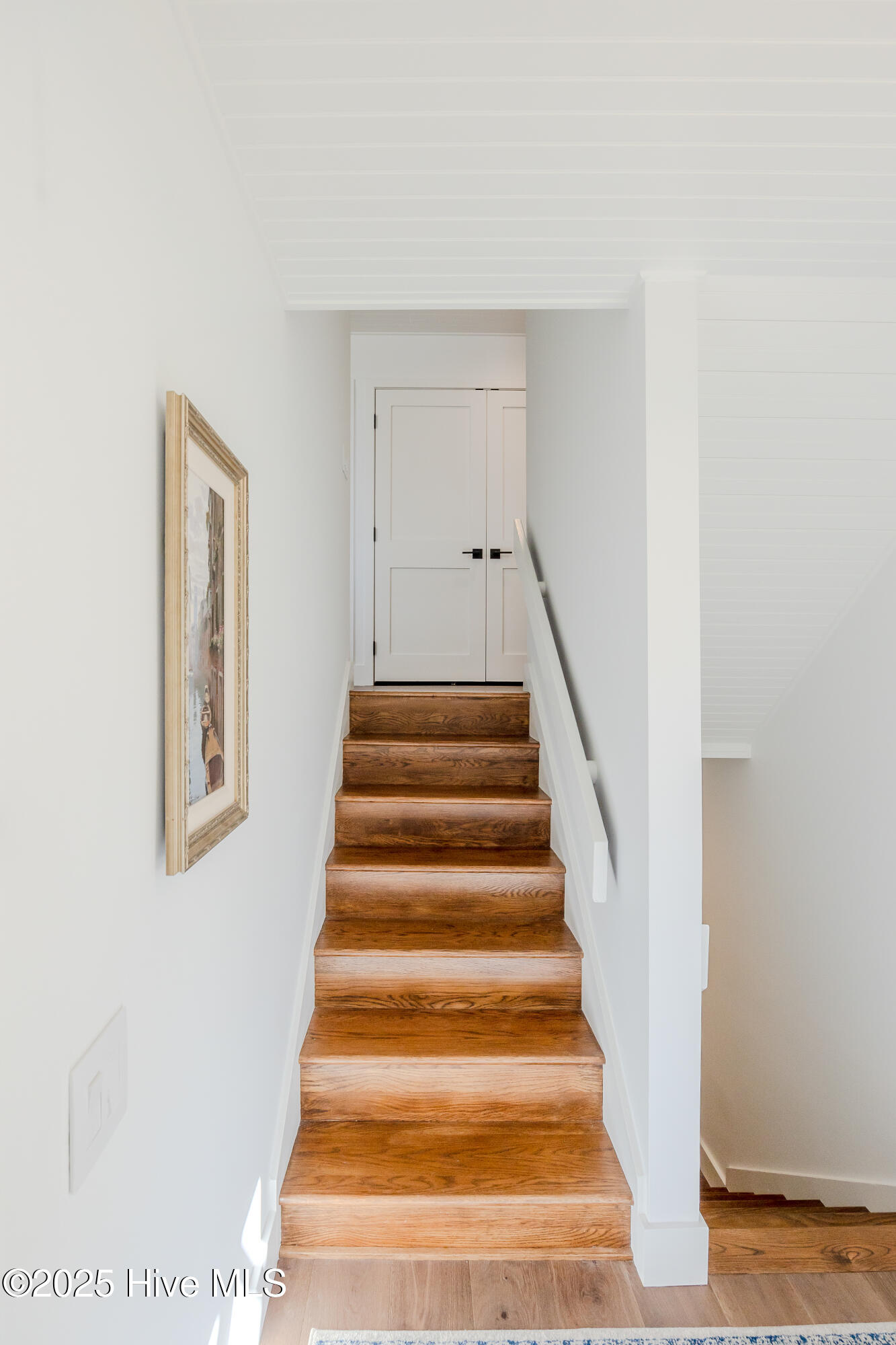 100518193 | Photo 54