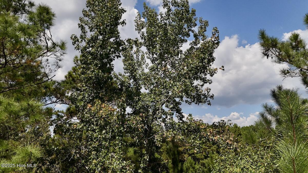 100531803 | Photo 19