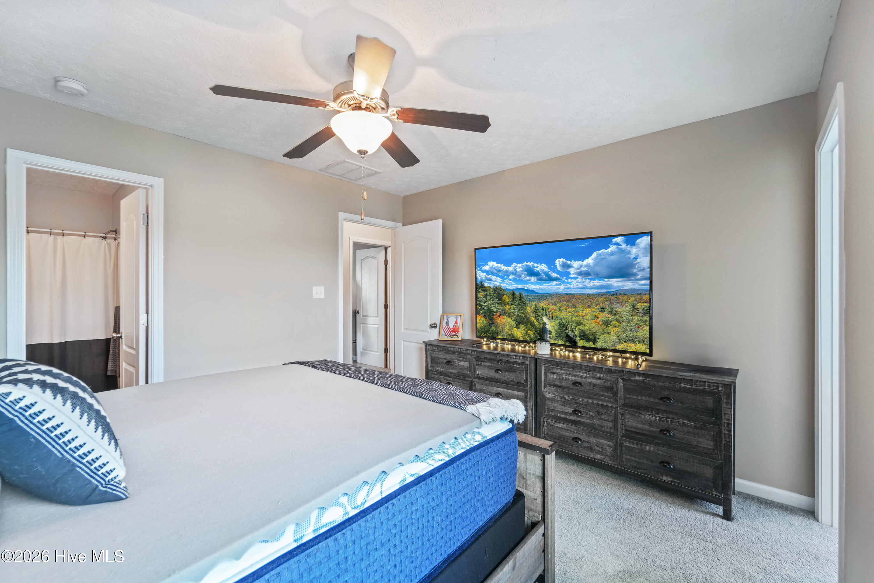 100558944 | Photo 29