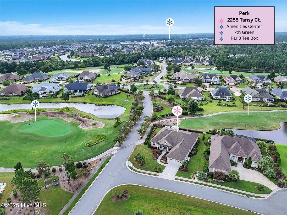 100527091 | Photo 71