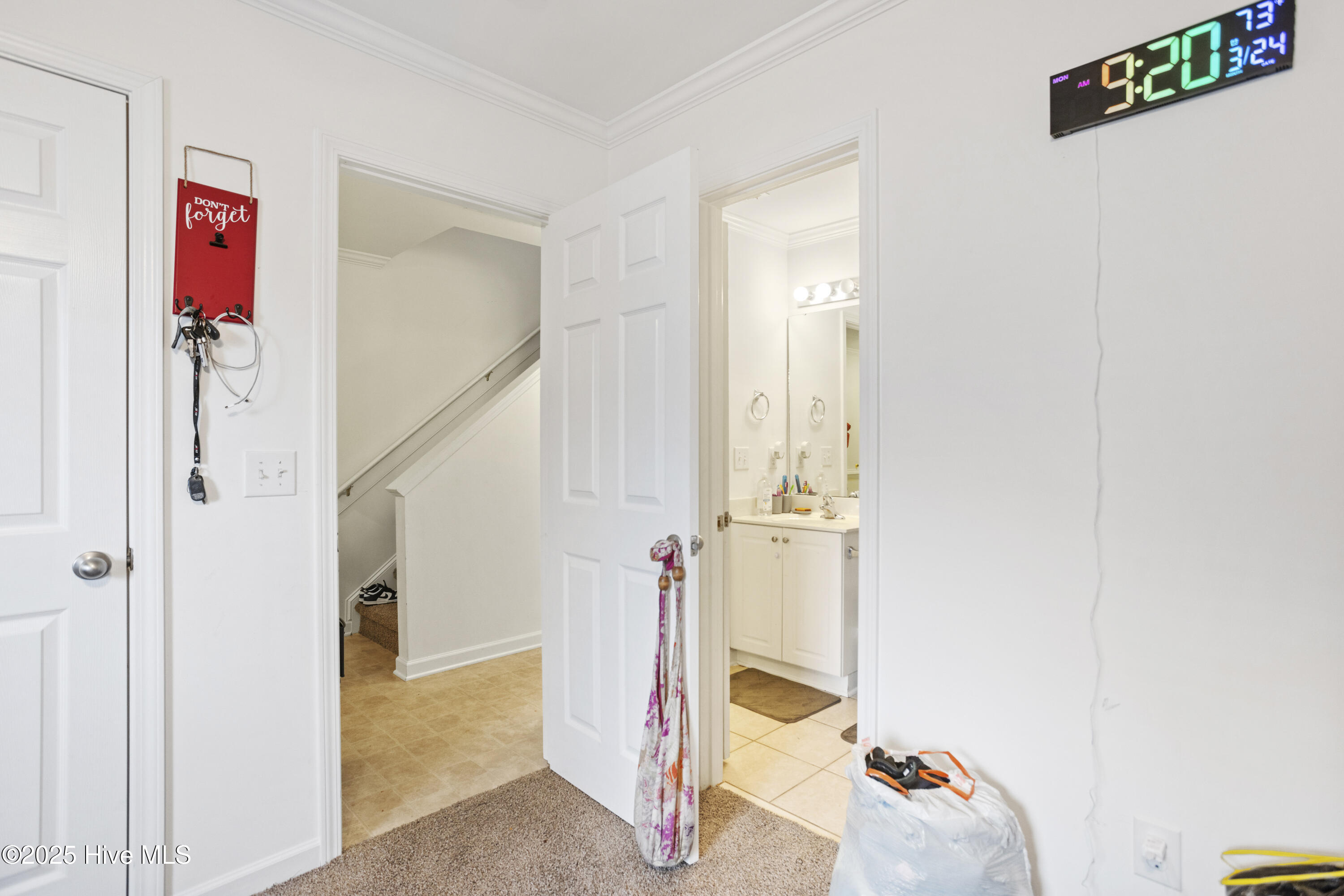 100496889 | Photo 23