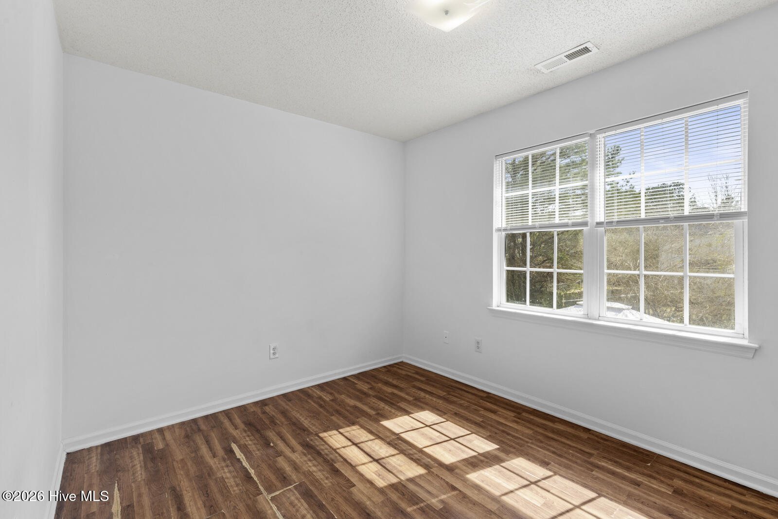 100558596 | Photo 11