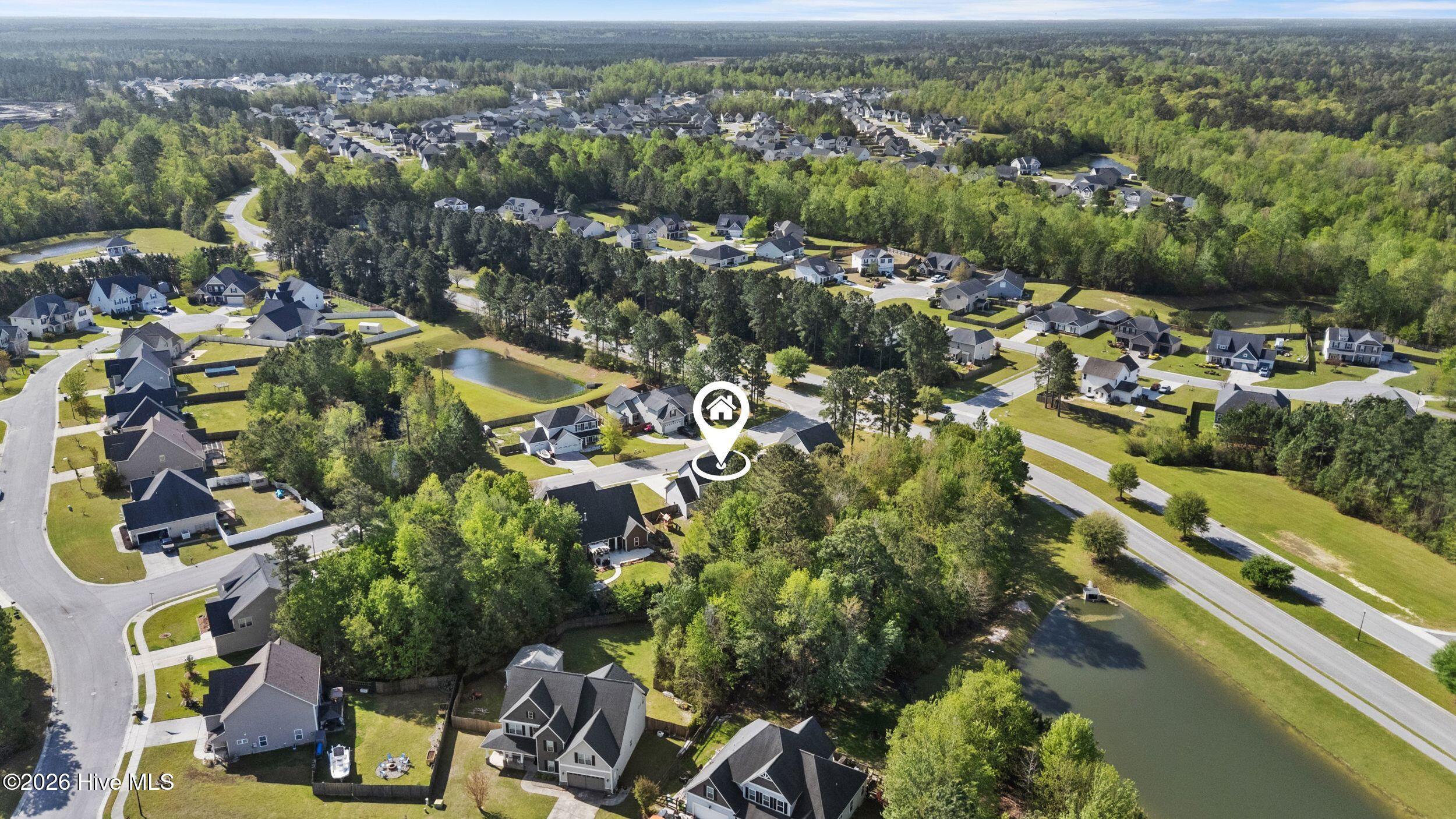 100567272 | Photo 48