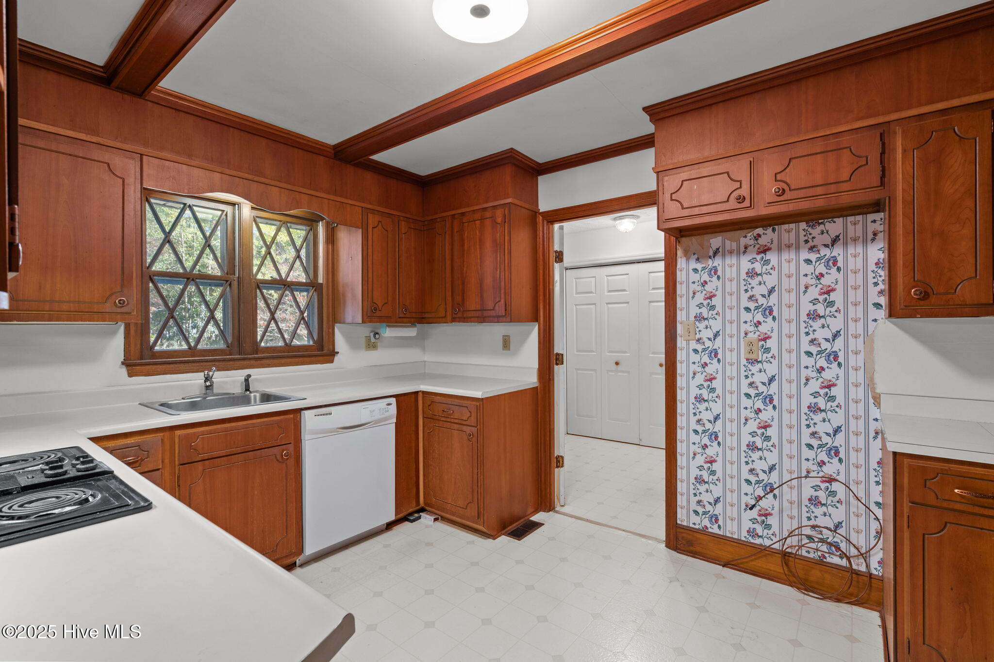 18-web-or-mls-DSC06821