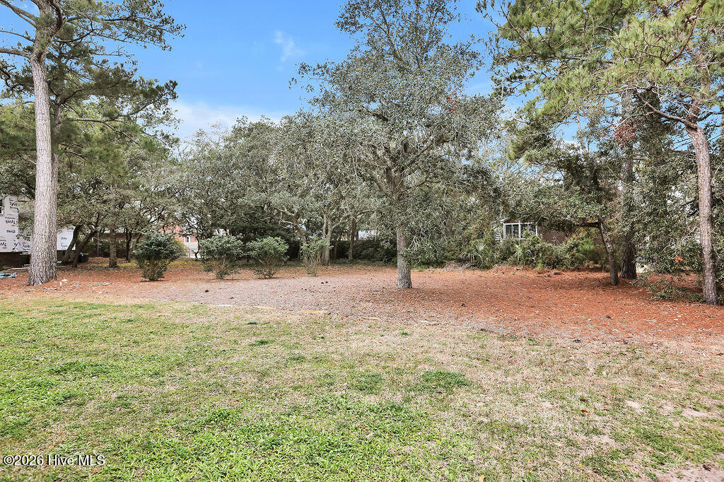 100557282 | Photo 25