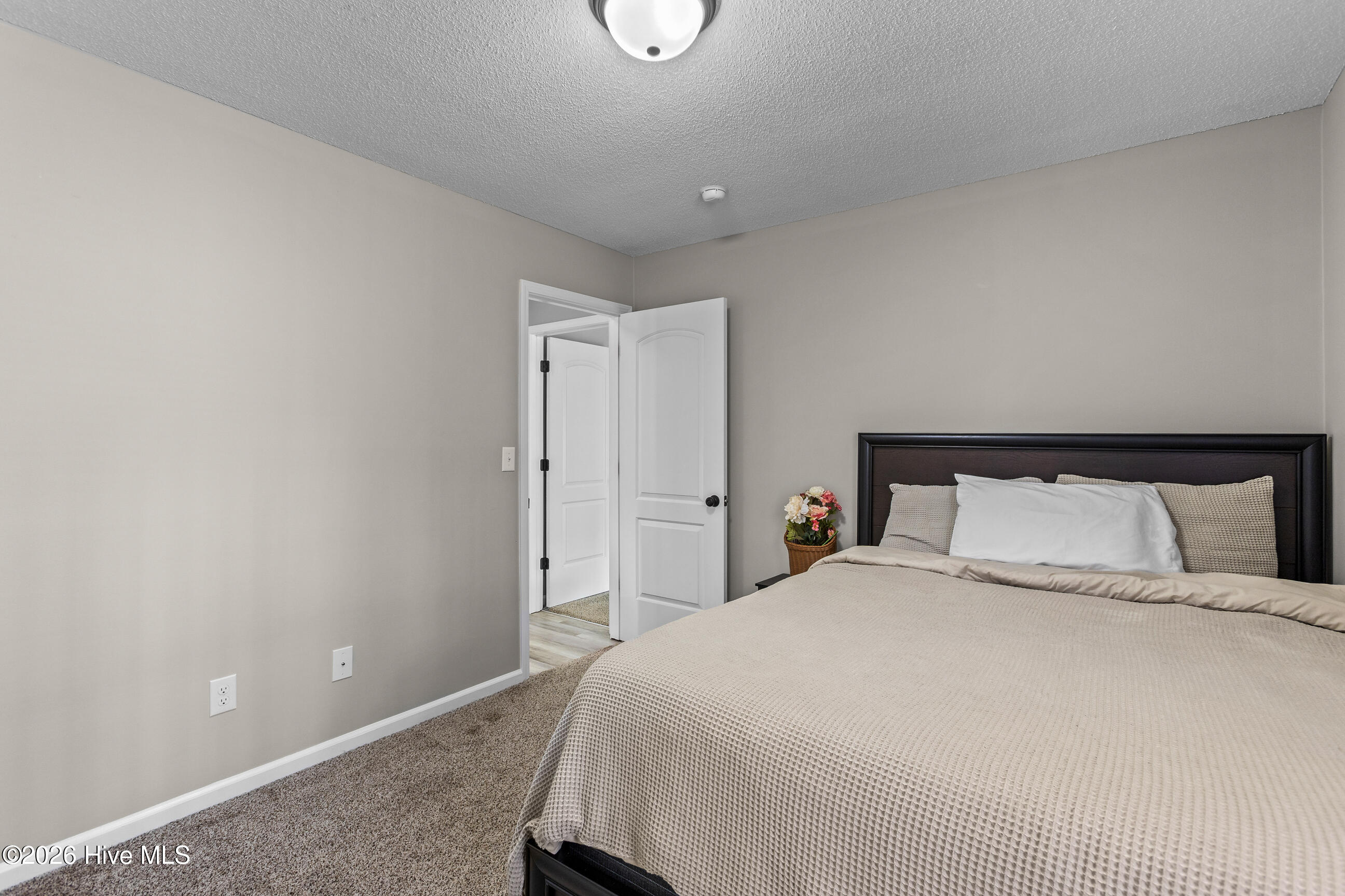 100557987 | Photo 23