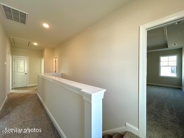 100553886 | Photo 32