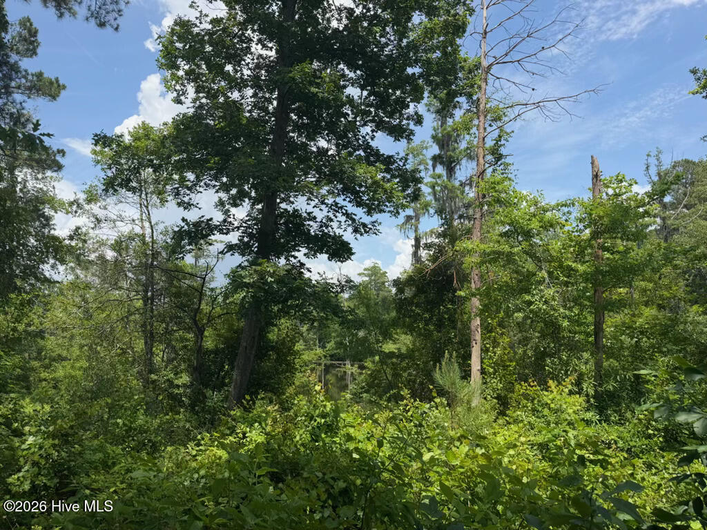 Shirley Johnson - MLS Number: 100389771