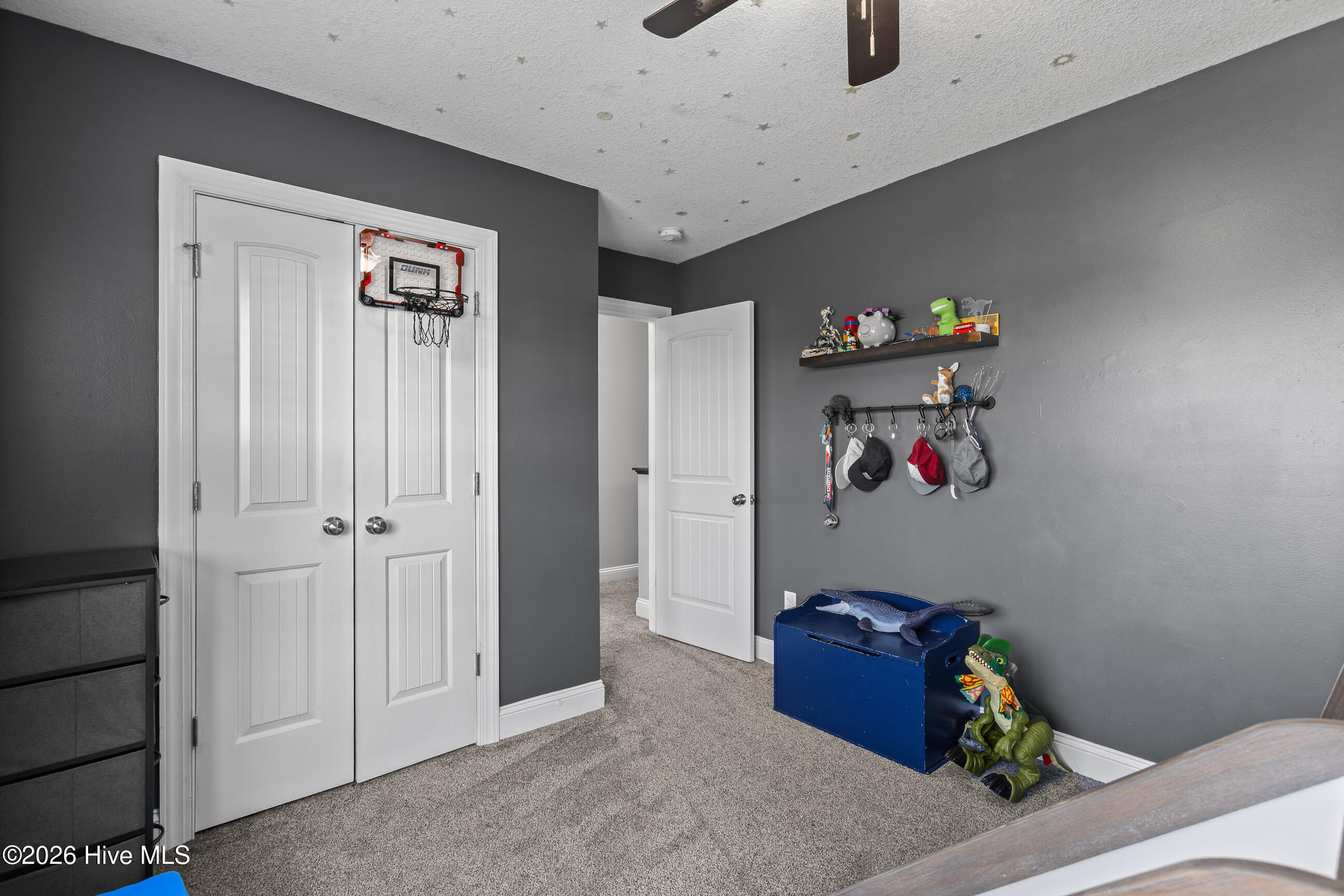 100556437 | Photo 30