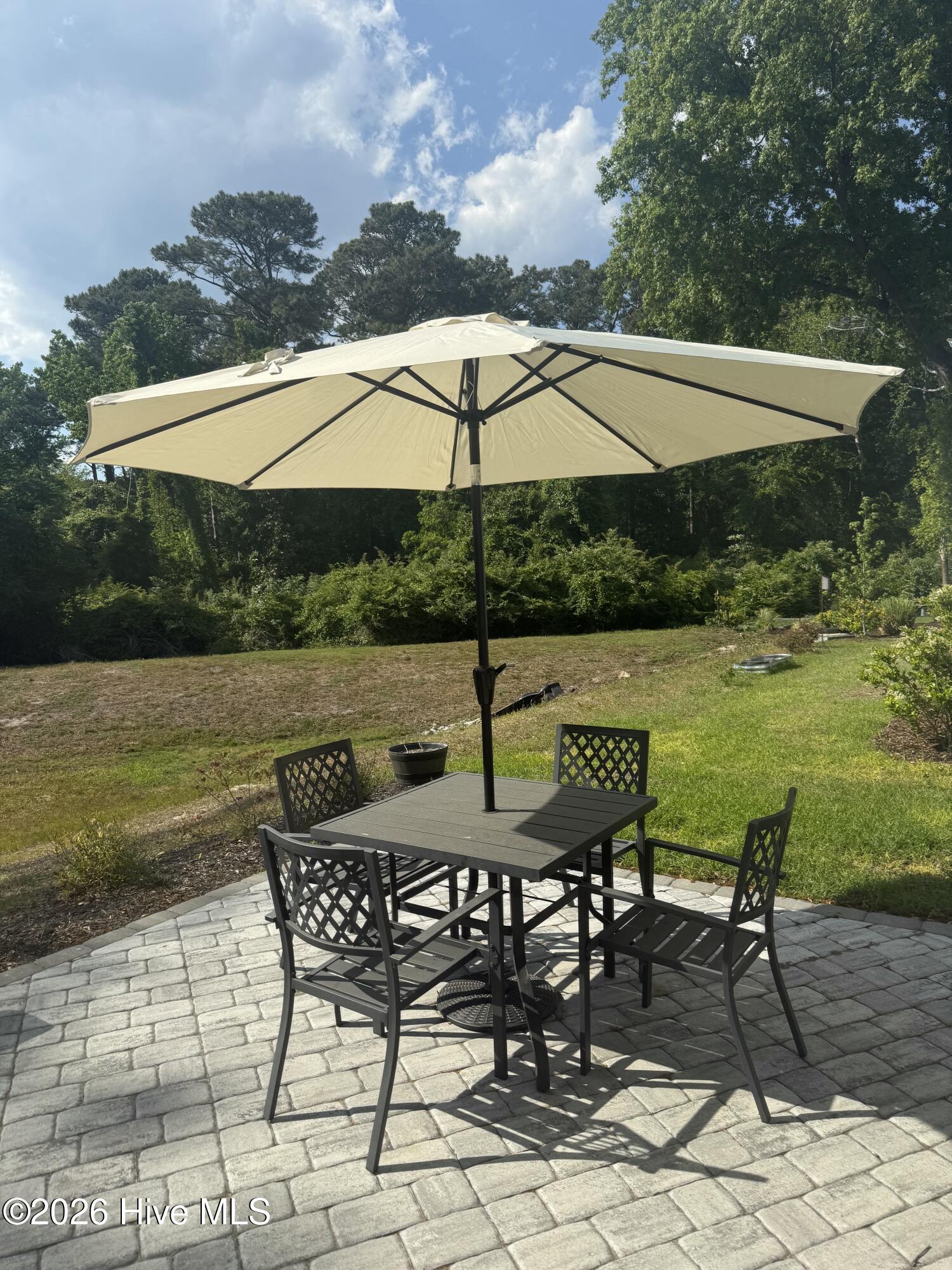 100557326 | Photo 16