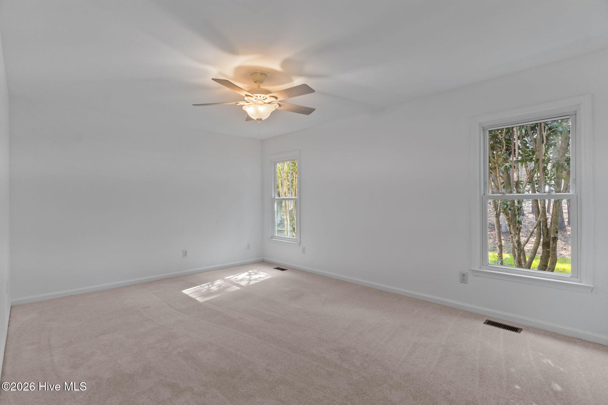 100562796 | Photo 23