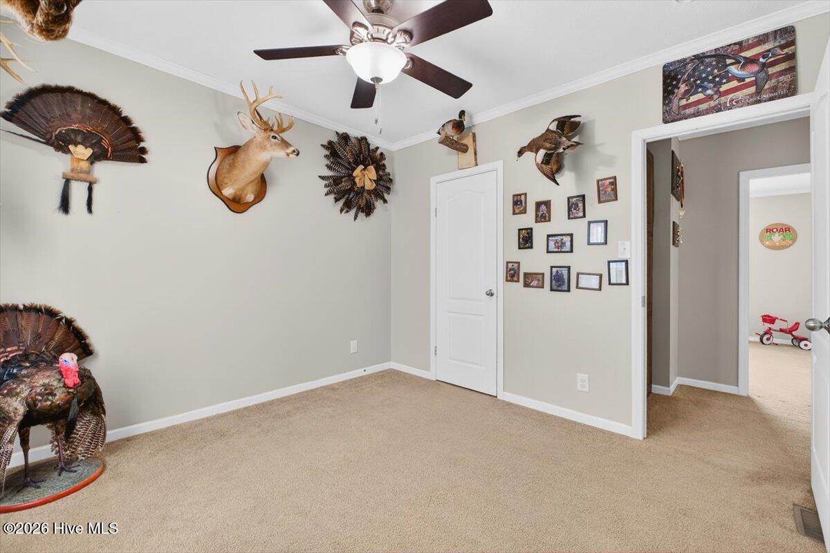 100551203 | Photo 33