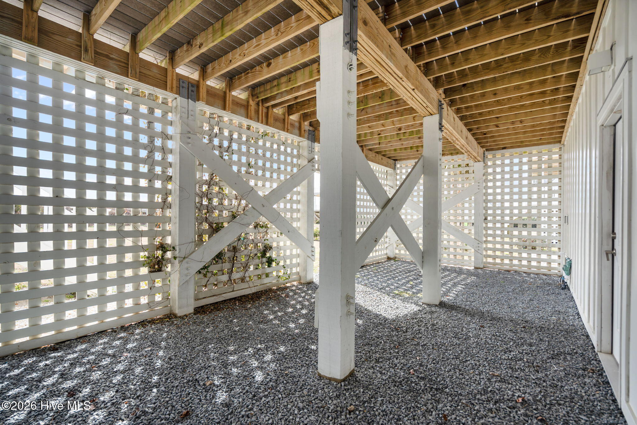 100556459 | Photo 44