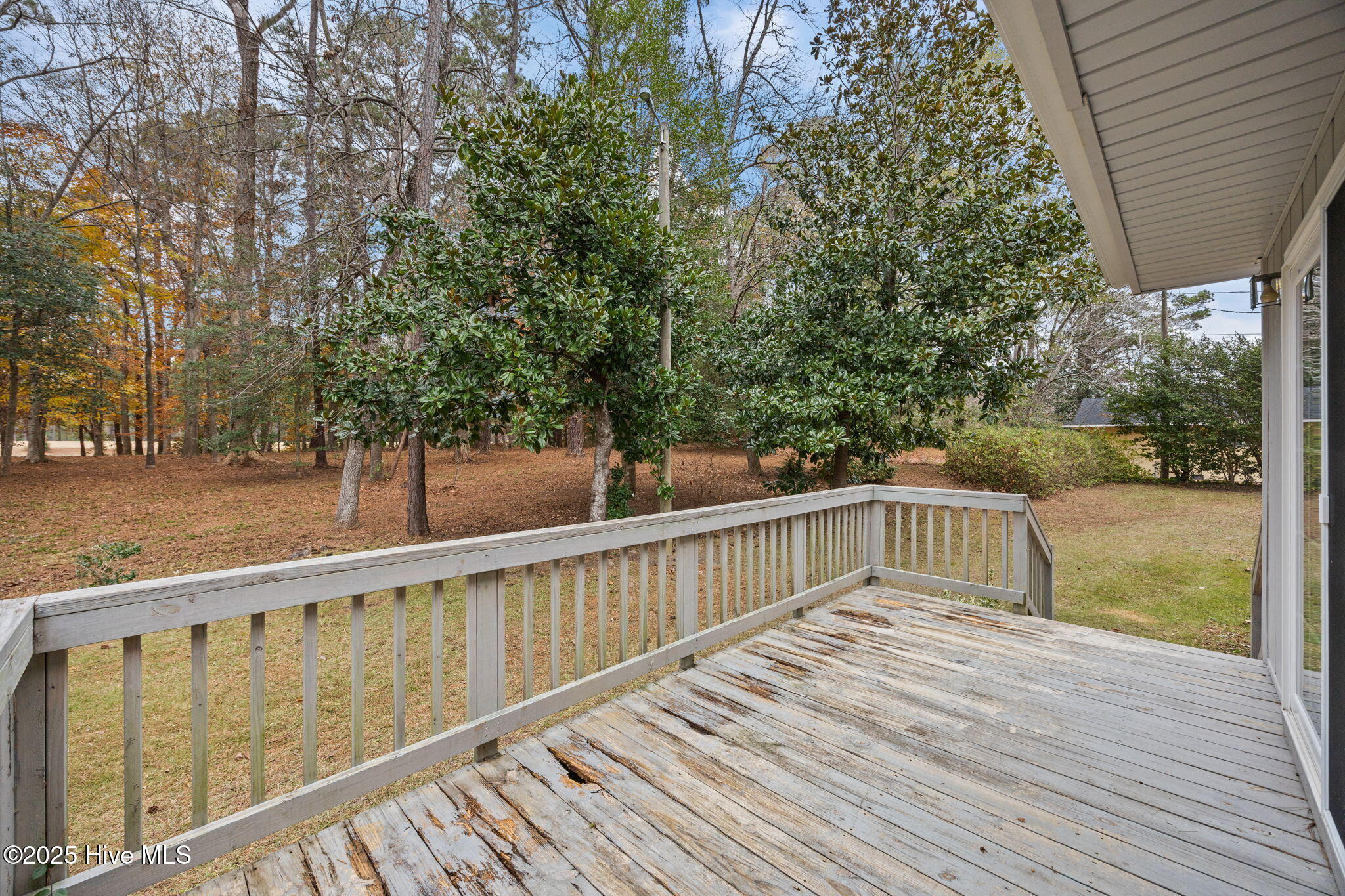 100544163 | Photo 37