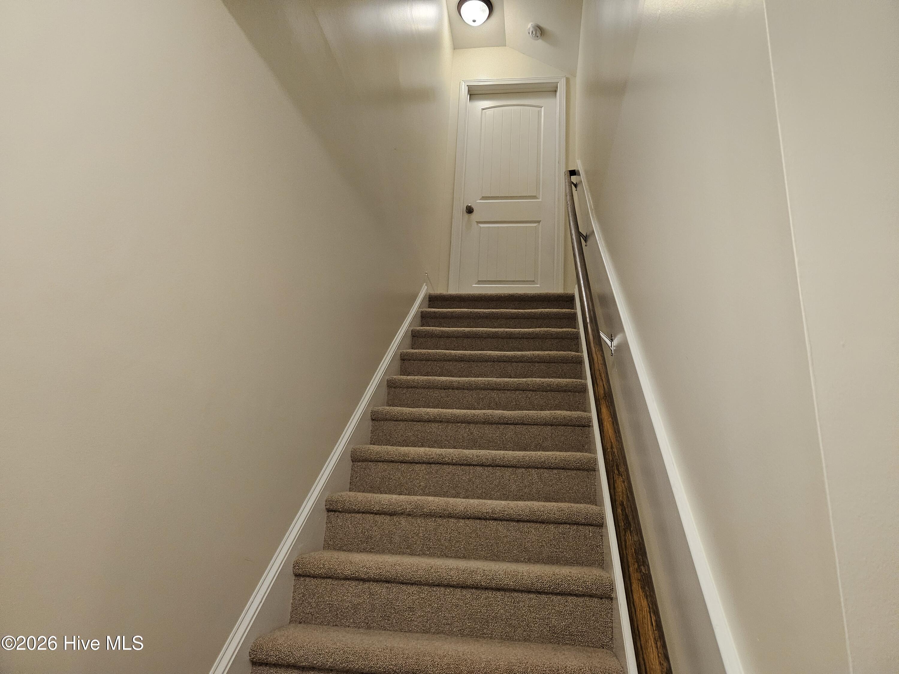 100568261 | Photo 23