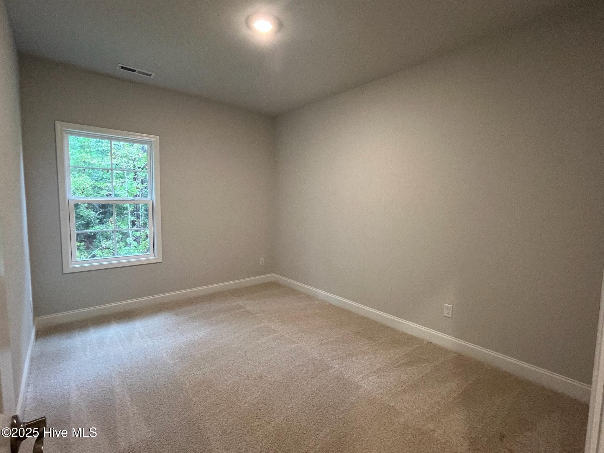 100420978 | Photo 29