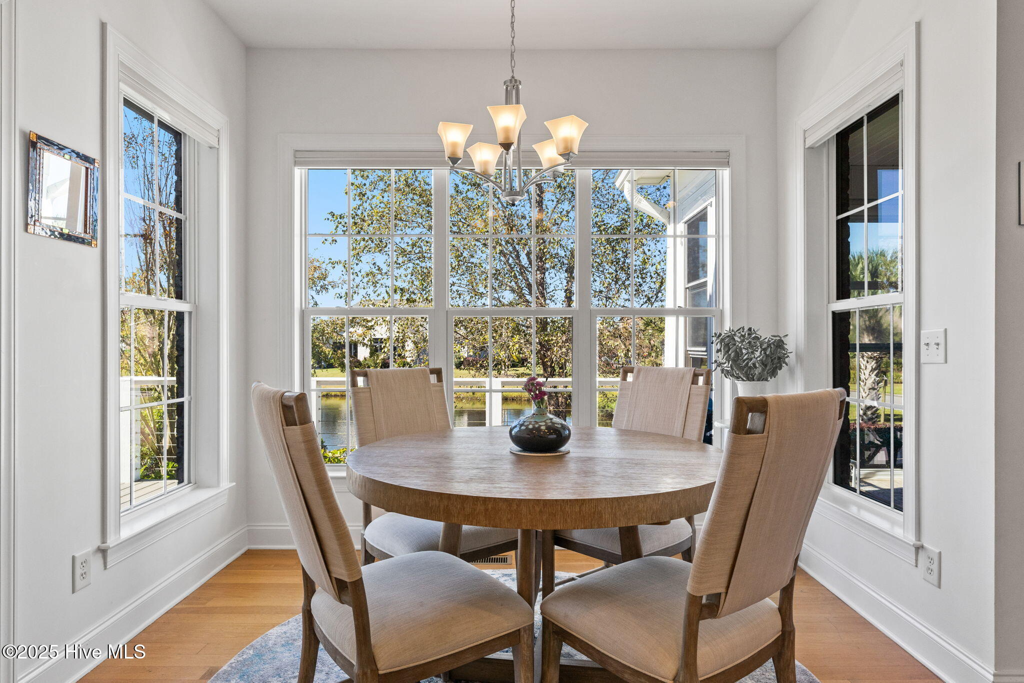 100538091 | Photo 21