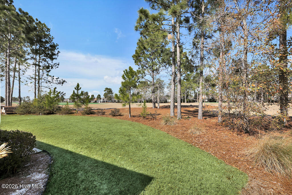 100554017 | Photo 36