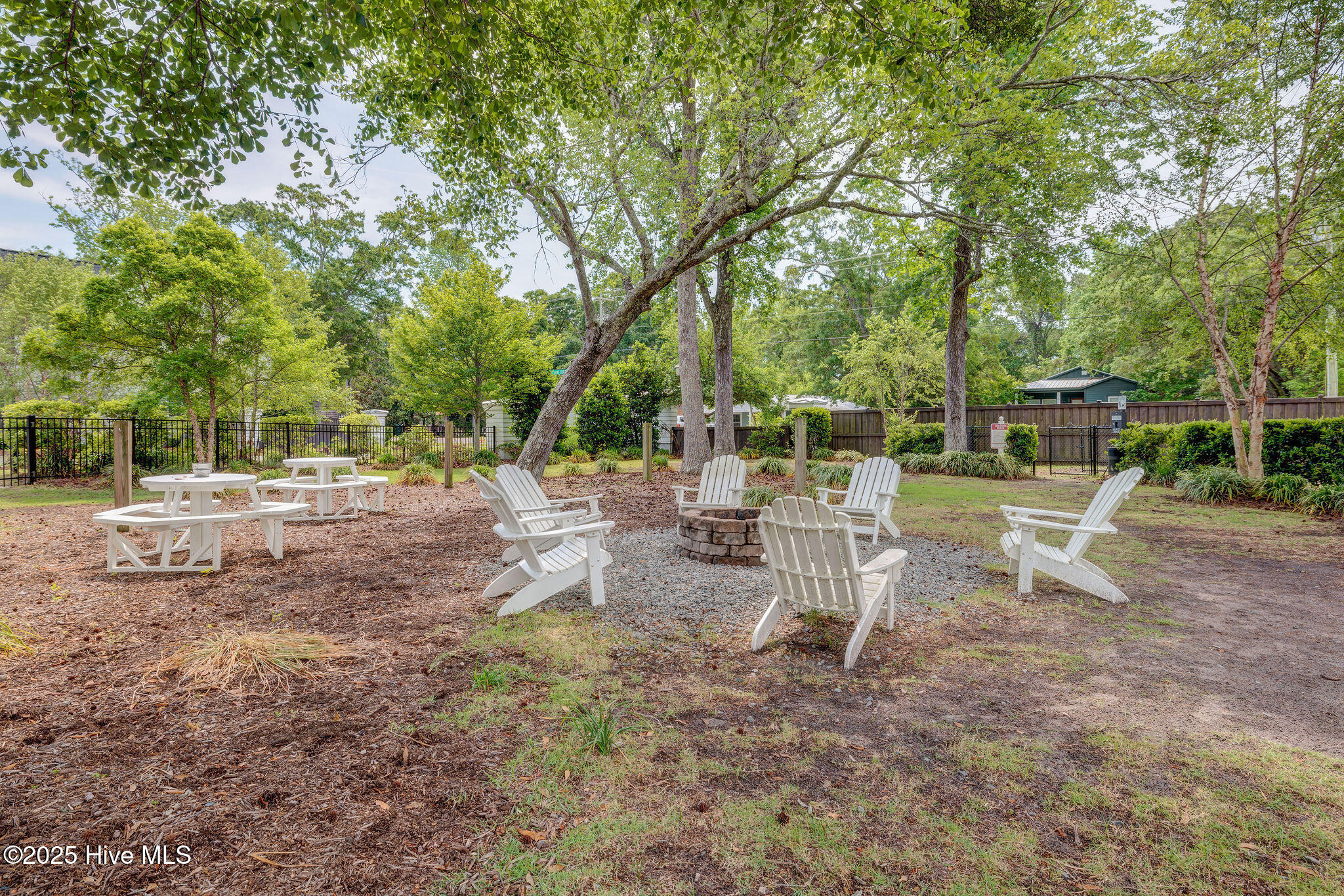 100529833 | Photo 51