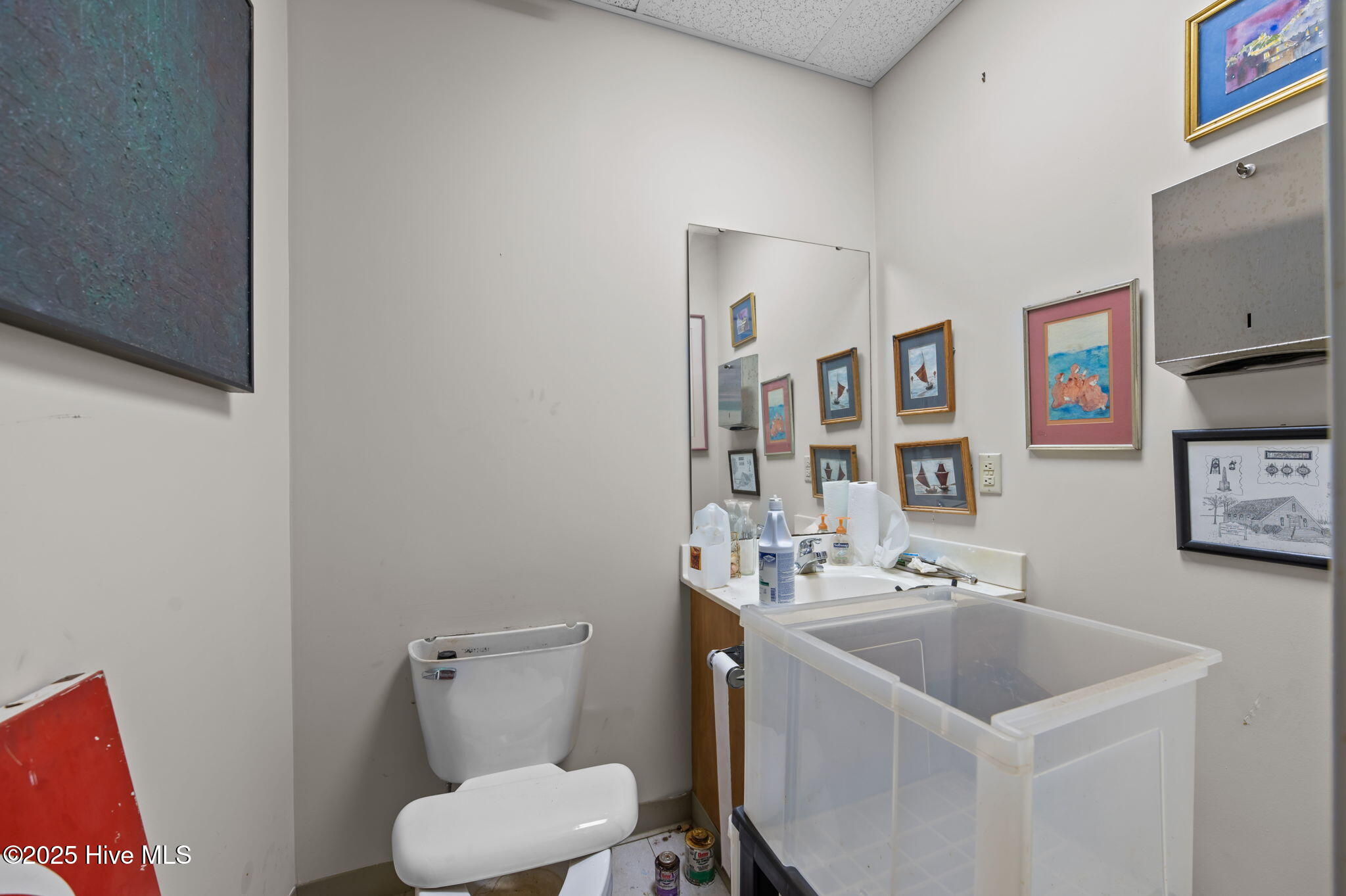 46-web-or-mls-LHV_5158