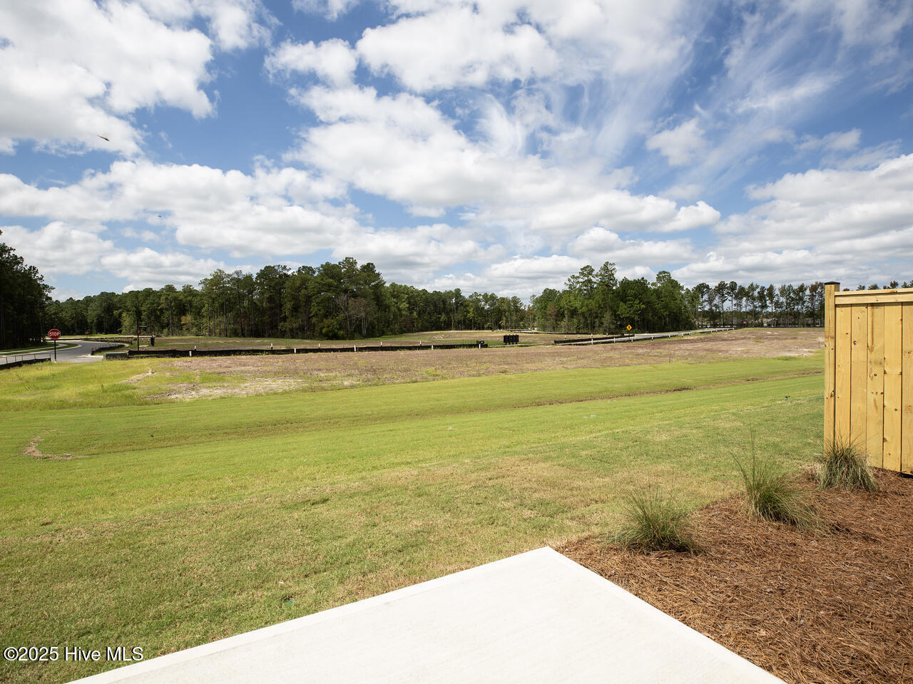 100548496 | Photo 32